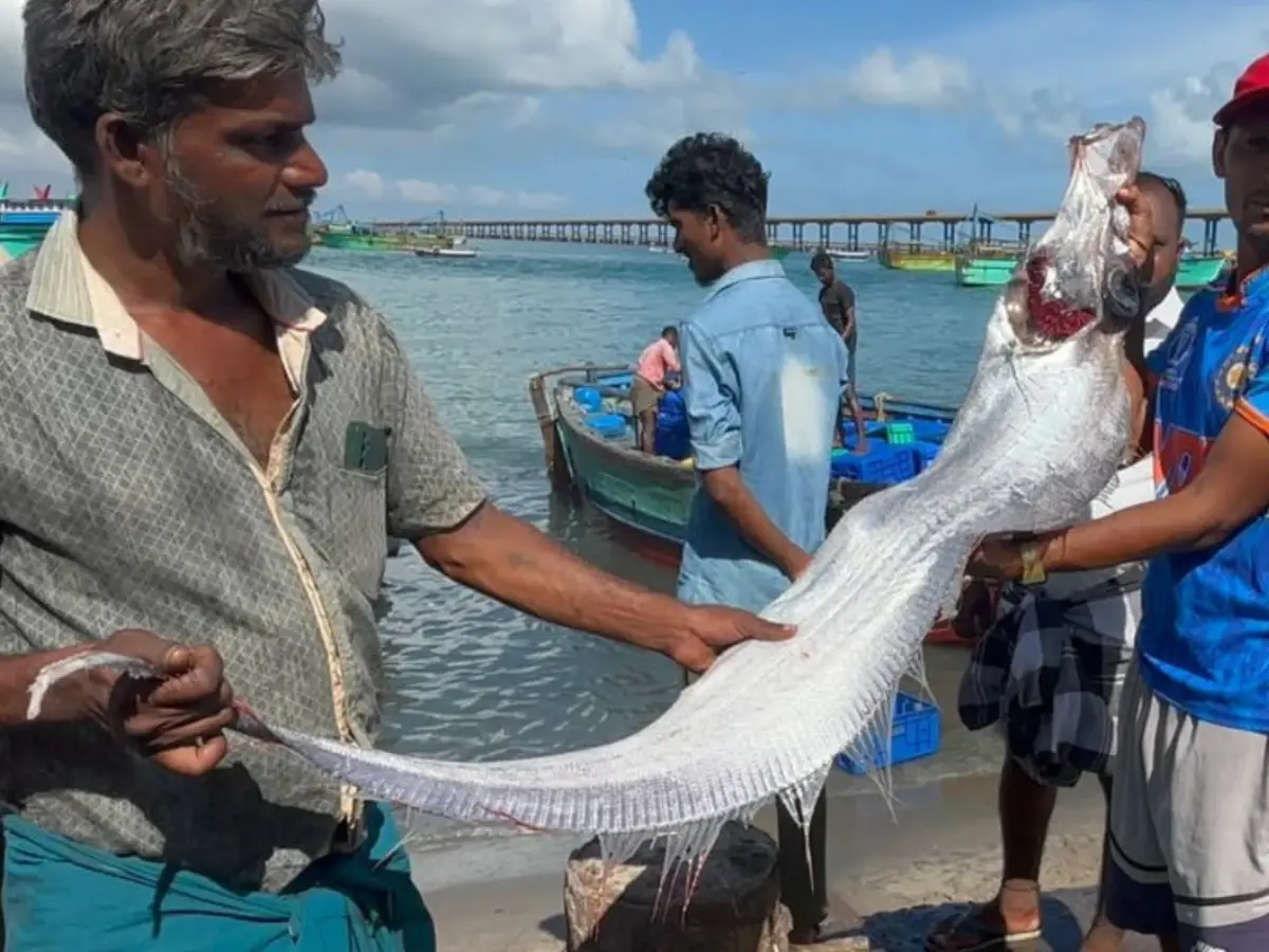 Second doomsday fish in India