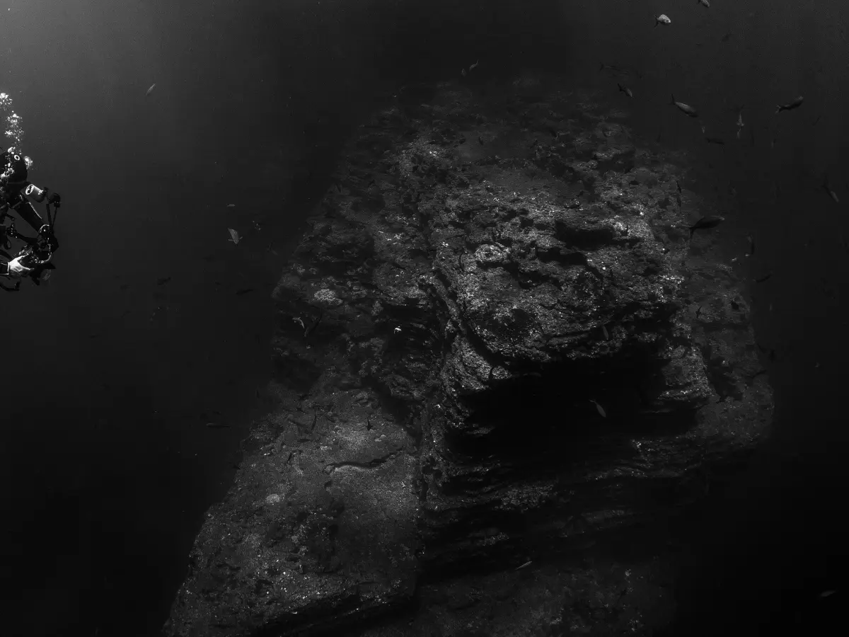 At 16,404 feet, tentacles on a tusked marine animal stunned scientists. Turns out, it was...