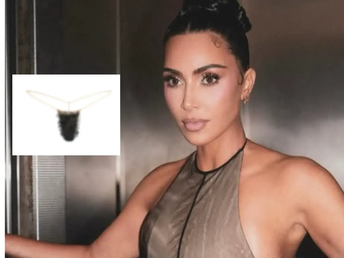 Kim Kardashian on Skims fake p***c hair underwear: 'It was just a fun, silly idea.' Kim Kardashian on Skims fake p***c hair underwear: 'It was just a fun, silly idea.'