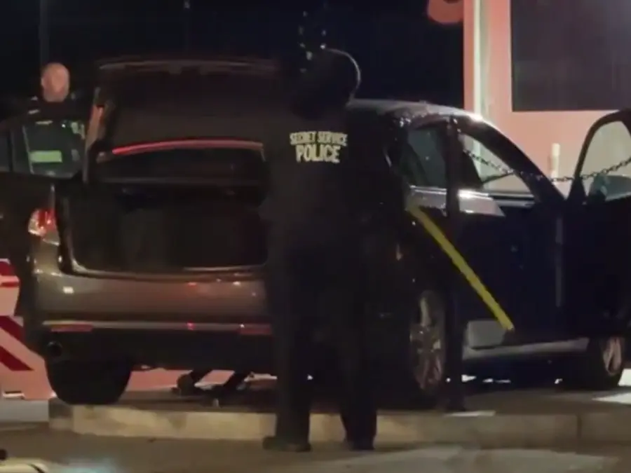 WATCH | Man drives car into White House security barrier; arrested