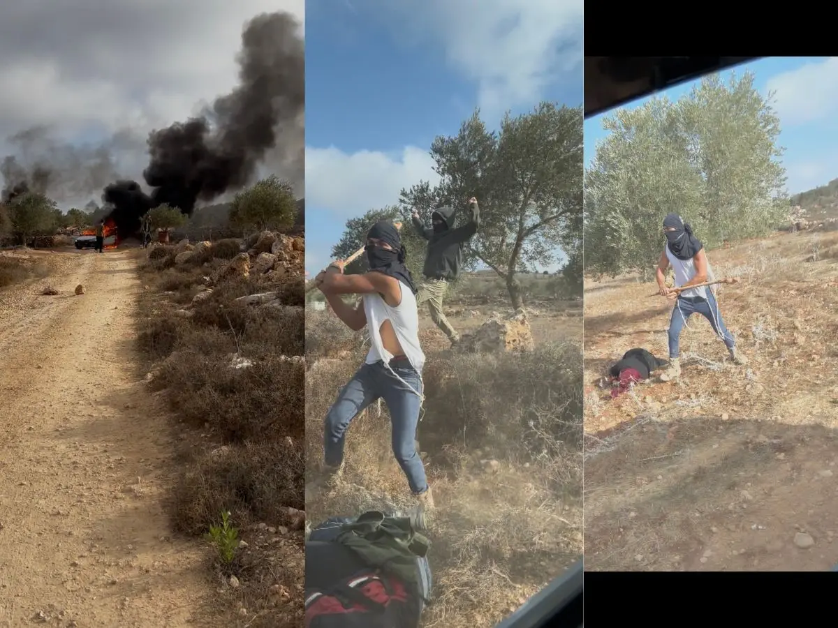 VIDEO | Israeli settler brutally beats Palestinian woman unconscious with a club during olive harvest