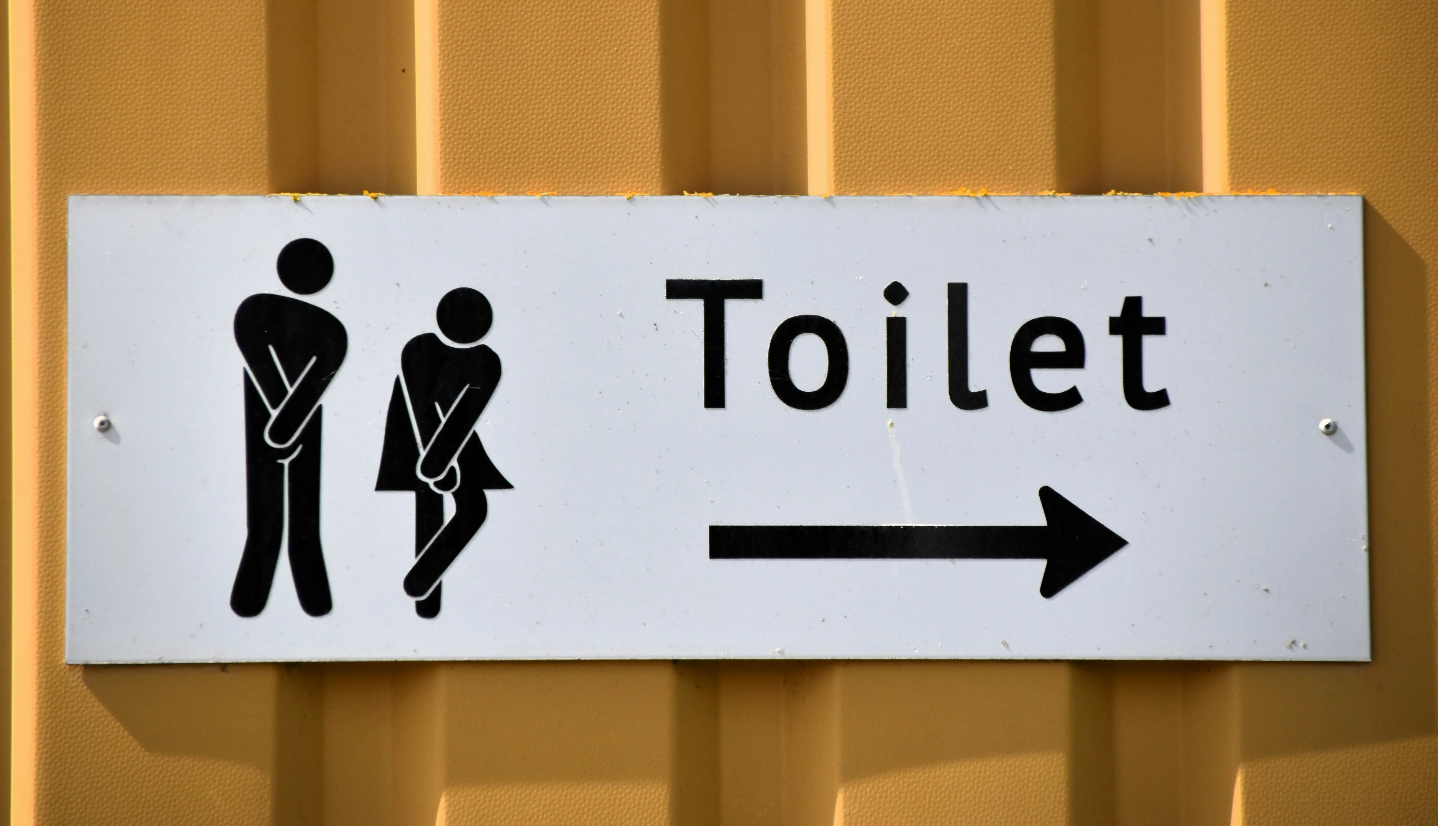 4.  Switzerland - Toilet Flushing Restrictions at Night