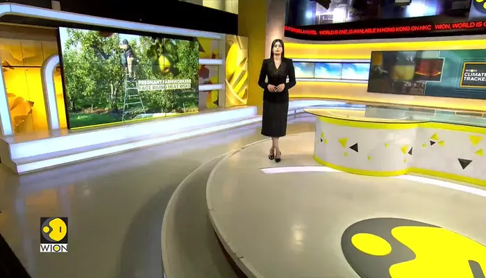 WionNews Video