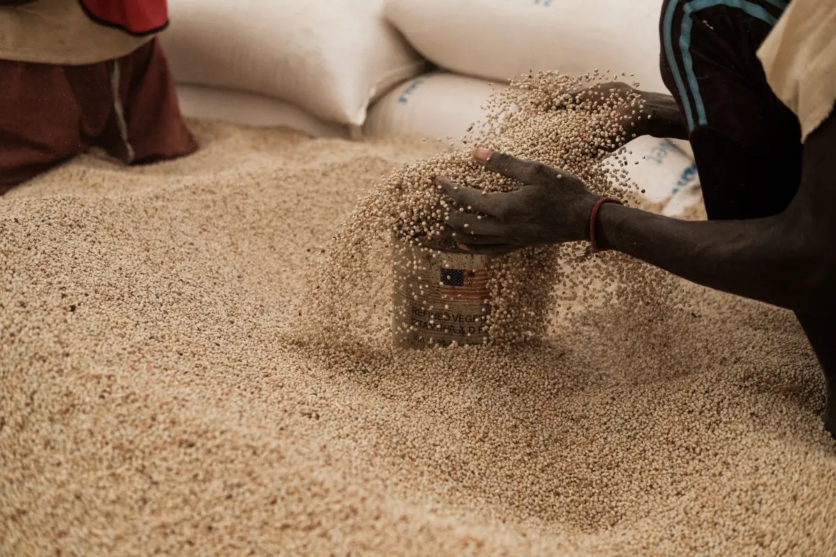 Sudan