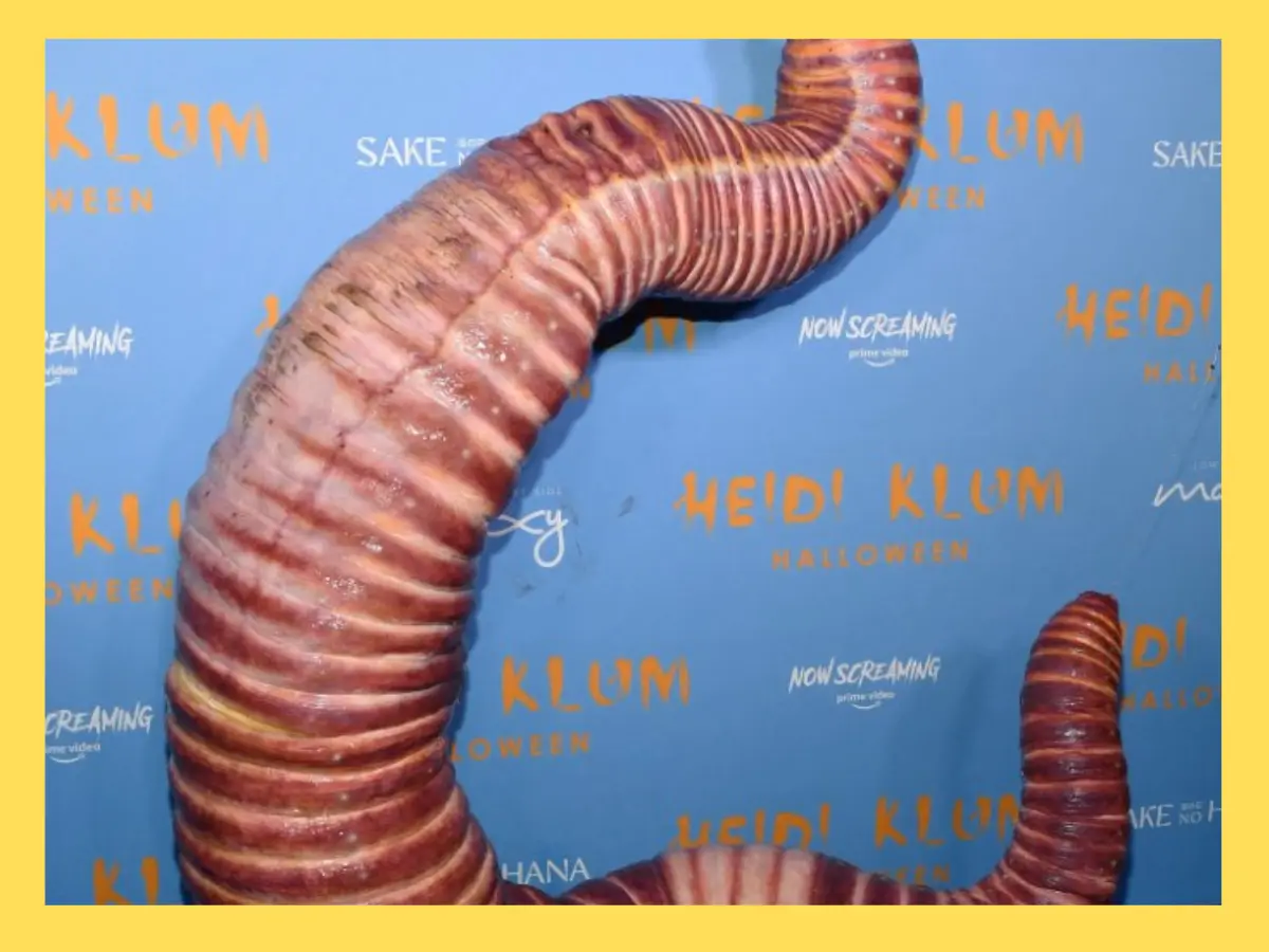 Giant worm - 2022