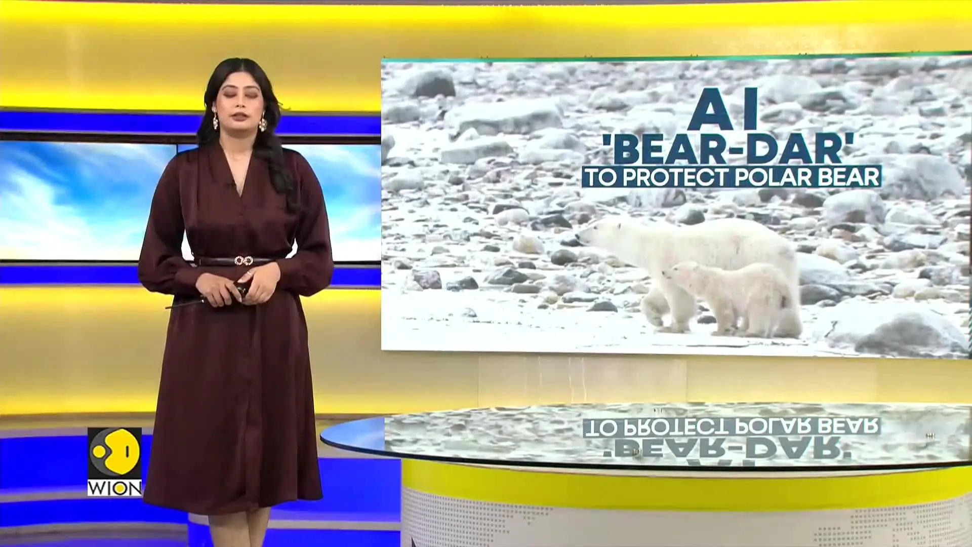 Polar bears struggle to survive as climate change melts Arctic ice