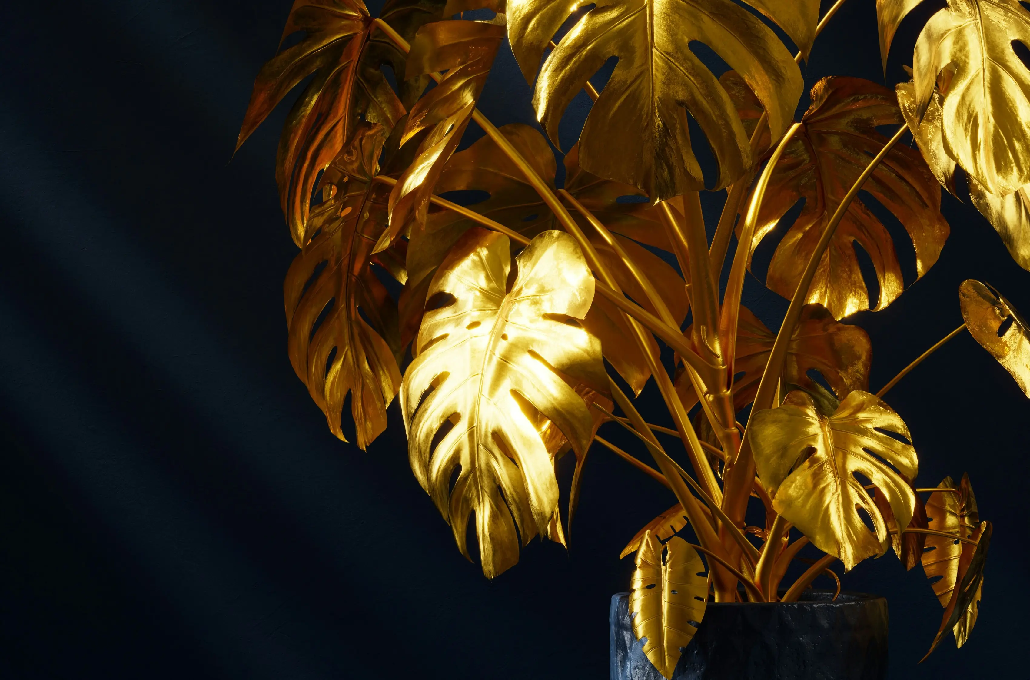 Plants