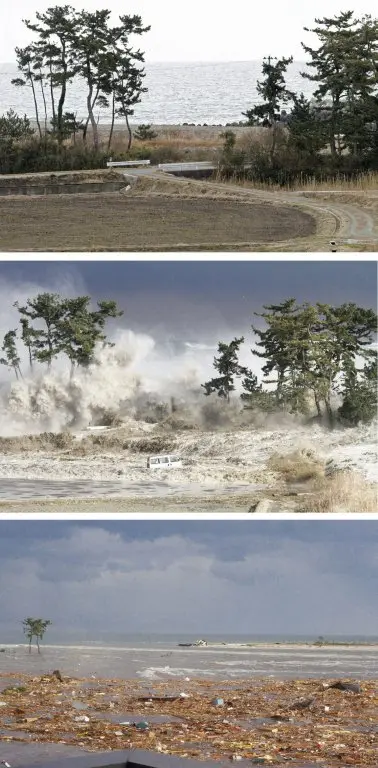 Japan, Honshu Island, 2011