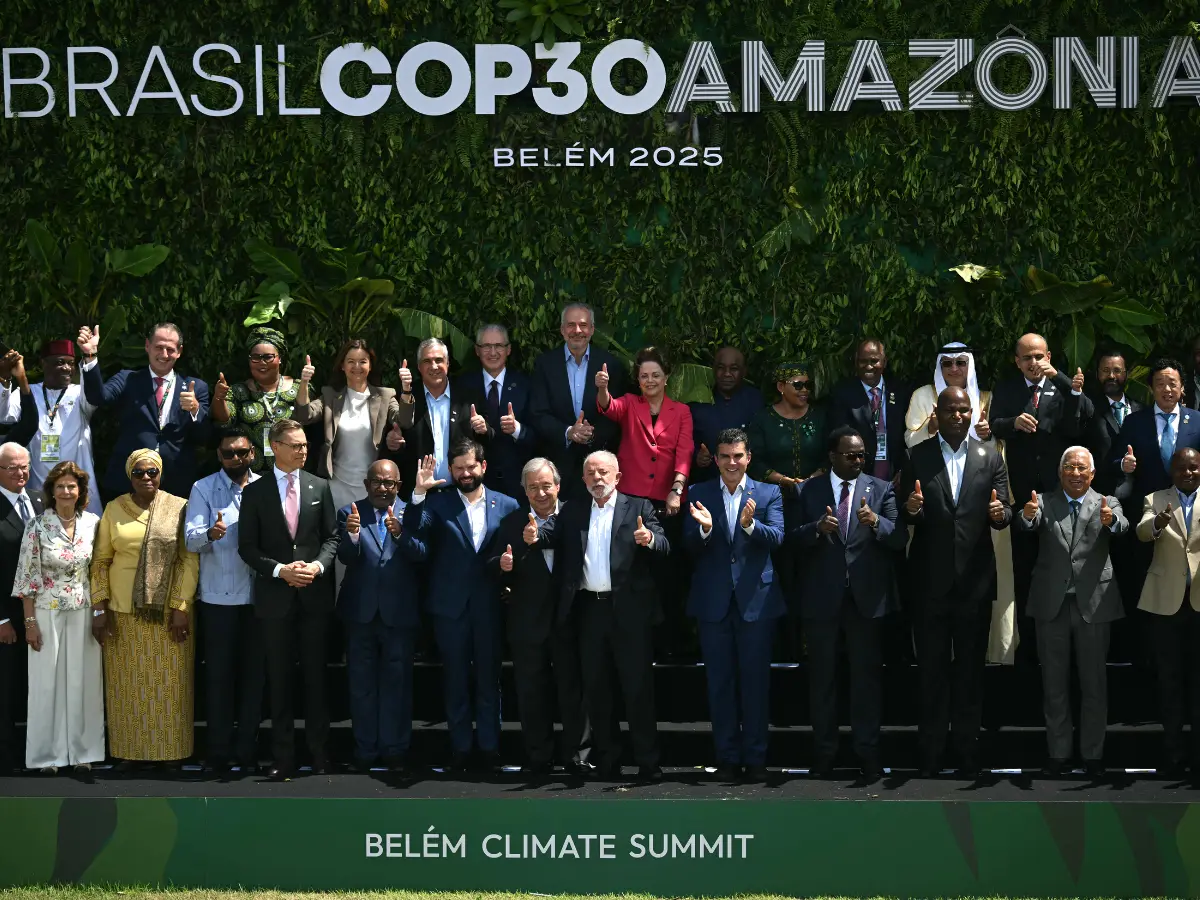 Brazil cut down 100,000 Amazon trees for a climate conference - 'It's become a big scandal'
