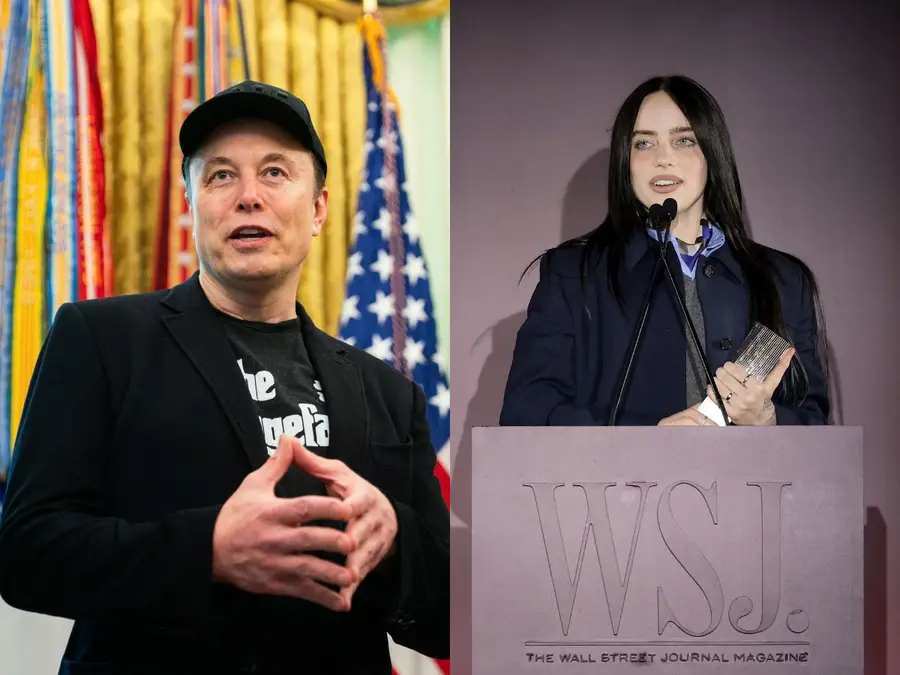 'Pathetic coward': Pop star Billie Eilish, took a dig at the world's first trillionaire Elon Musk
