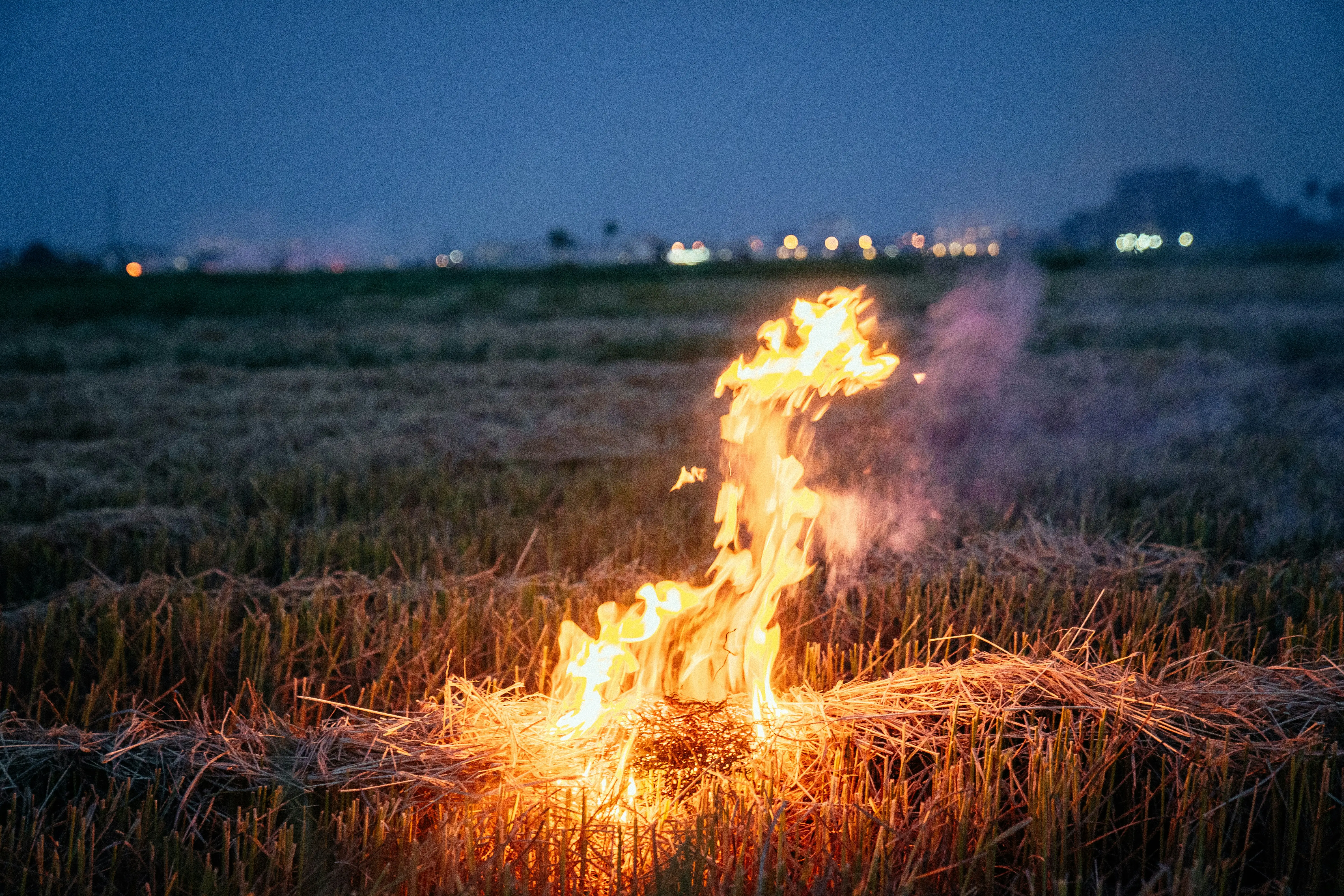 Stubble Burning