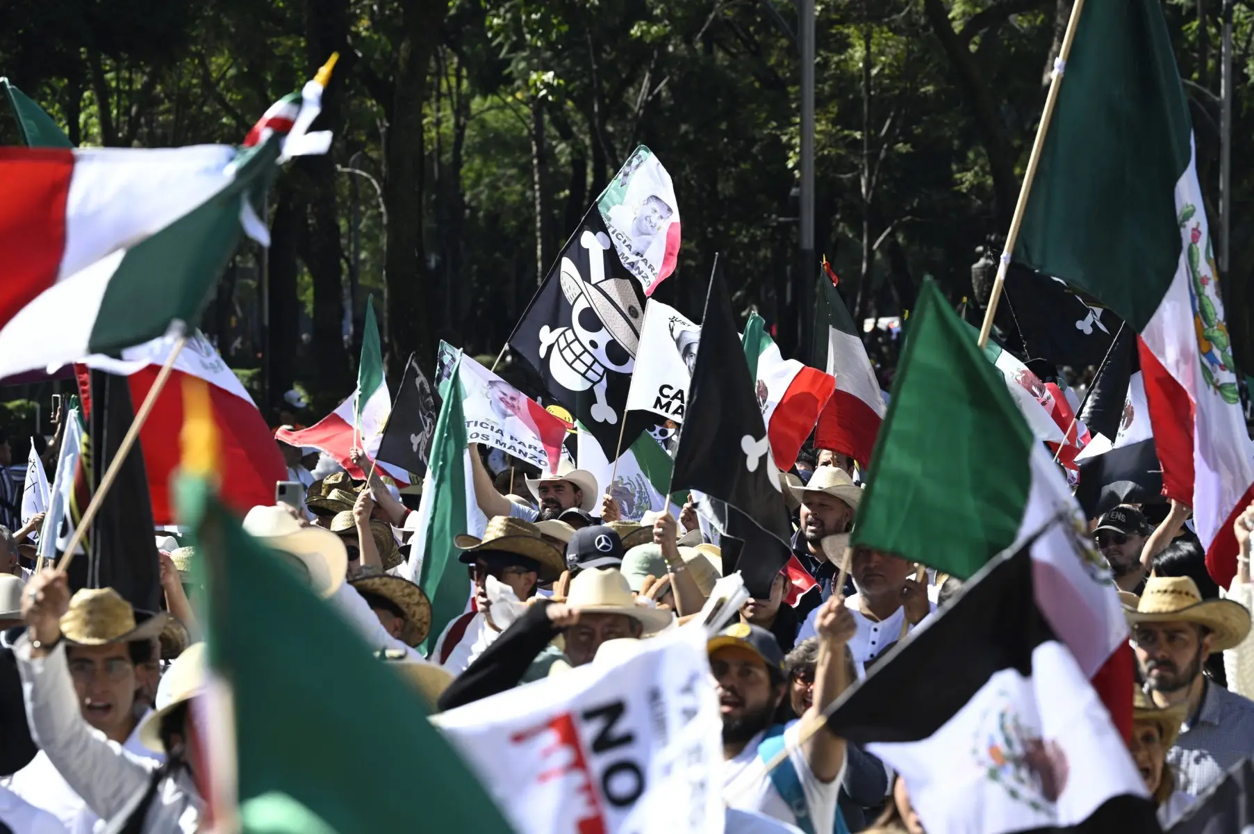 What did the 'Straw Hats, pirate flags' represent