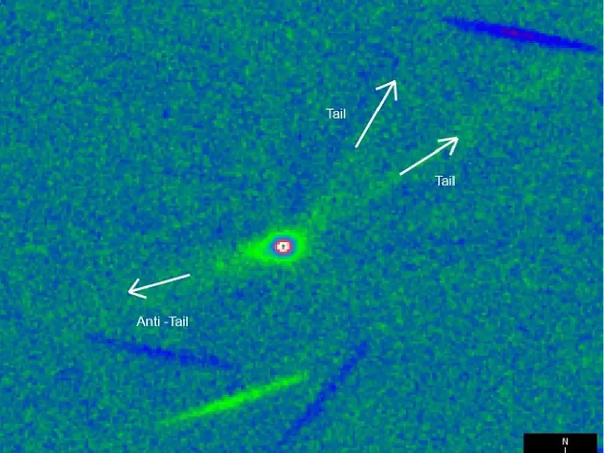 6. The Chemical Mix Suggests Formation Beyond the Snow Line of Another Star
