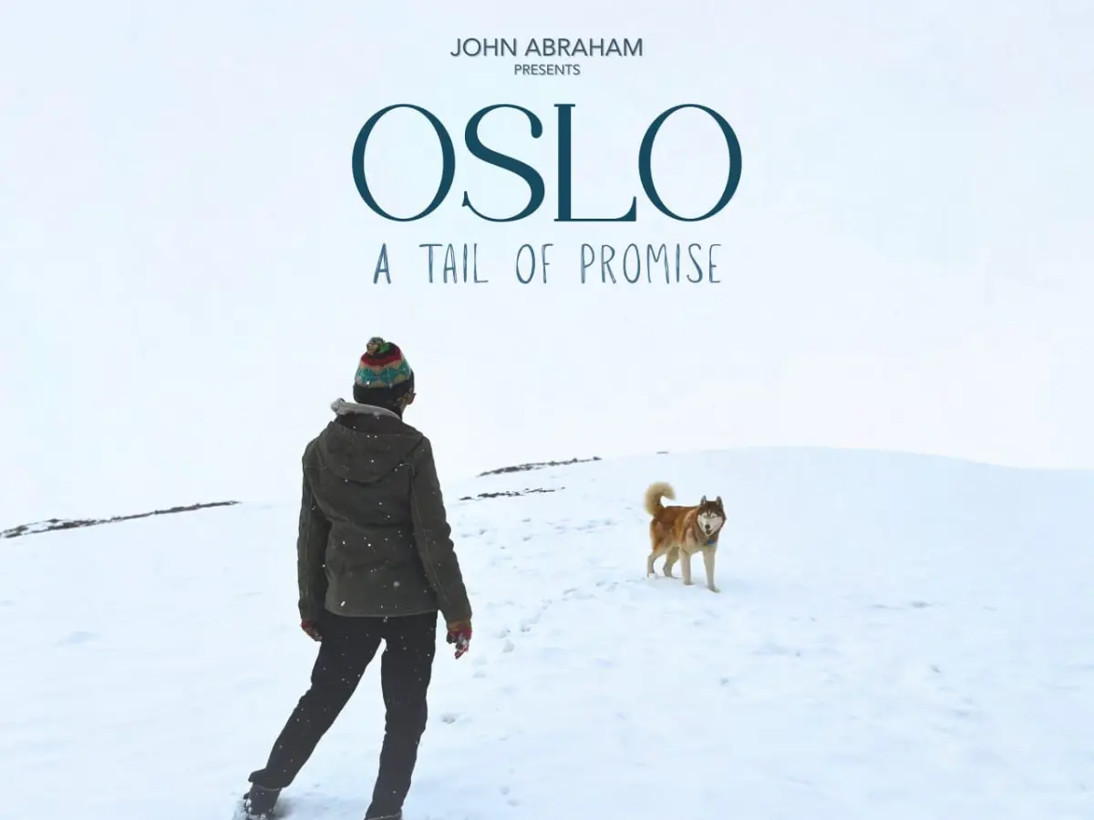 Oslo: A Tail of Promise- John Abraham backed short film on human-animal bond to premiere at IFFI 2025 Oslo: A Tail of Promise- John Abraham backed short film on human-animal bond to premiere at IFFI 2025