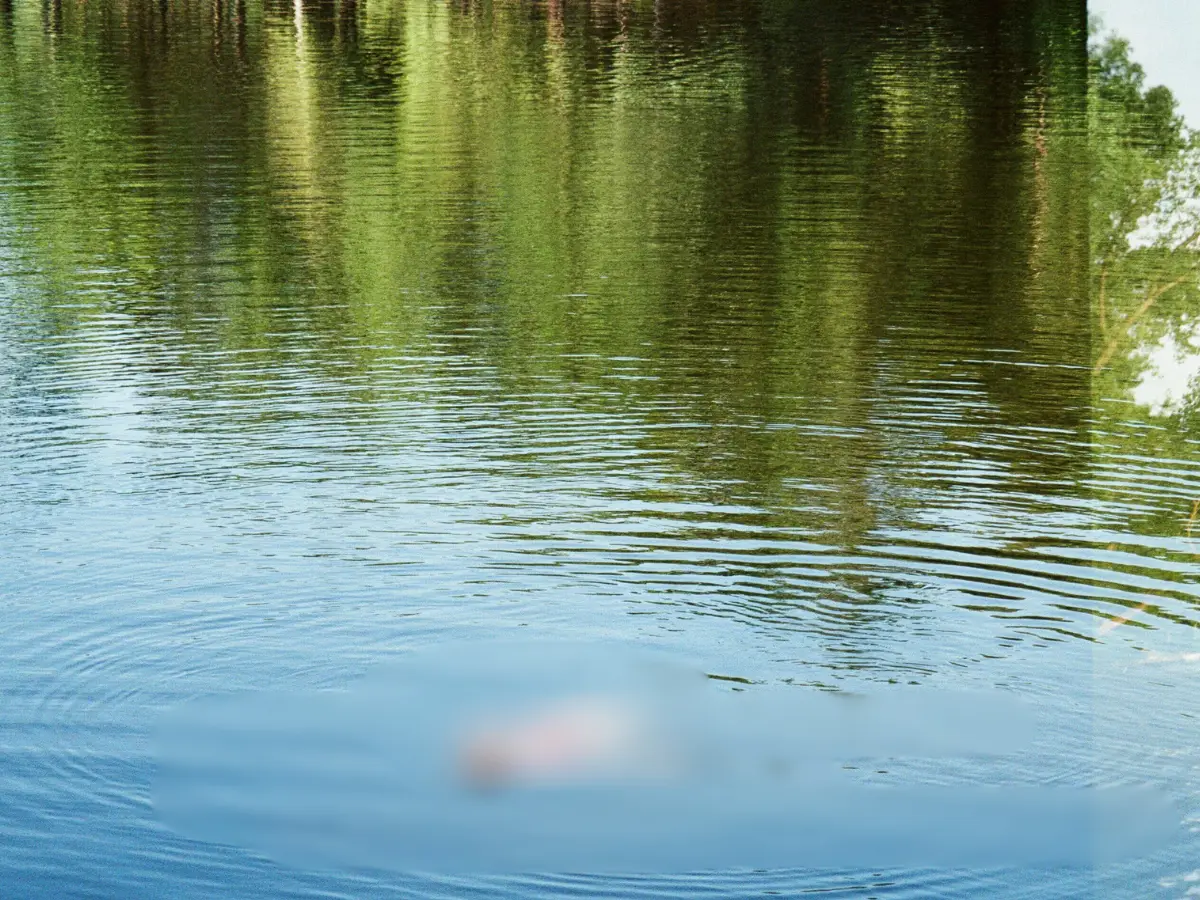 Sister saw her brother 'sleeping' in bed. He had died 3 days ago in a drowning accident far from home Sister saw her brother 'sleeping' in bed. He had died 3 days ago in a drowning accident far from home