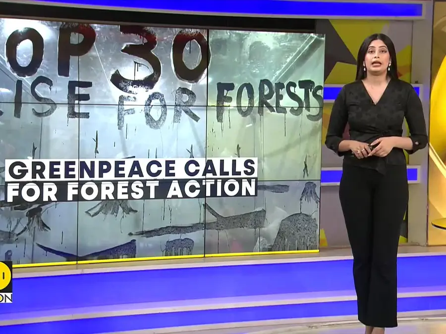 Brazilian Artist Mundano Uses Ashes from Forest Fires to Call for Urgent Climate Action 