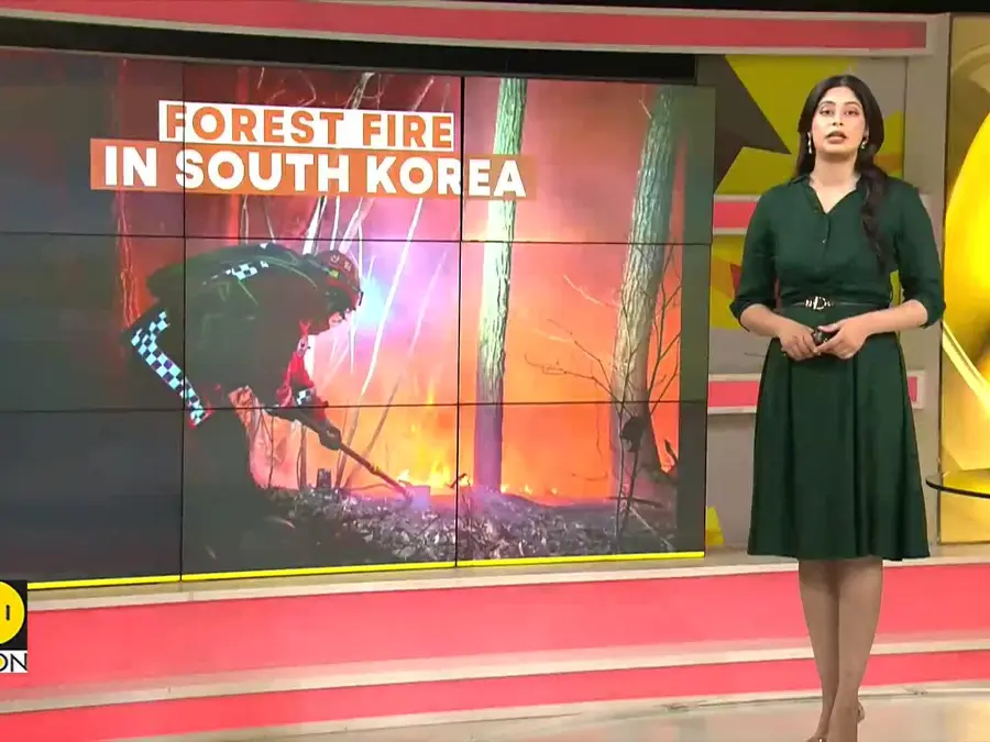 Korea Forest Service Mobilizes 26 Helicopters at Daybreak for Fire Response 