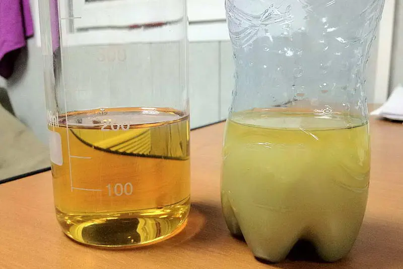 Role of The Paraffin Wax