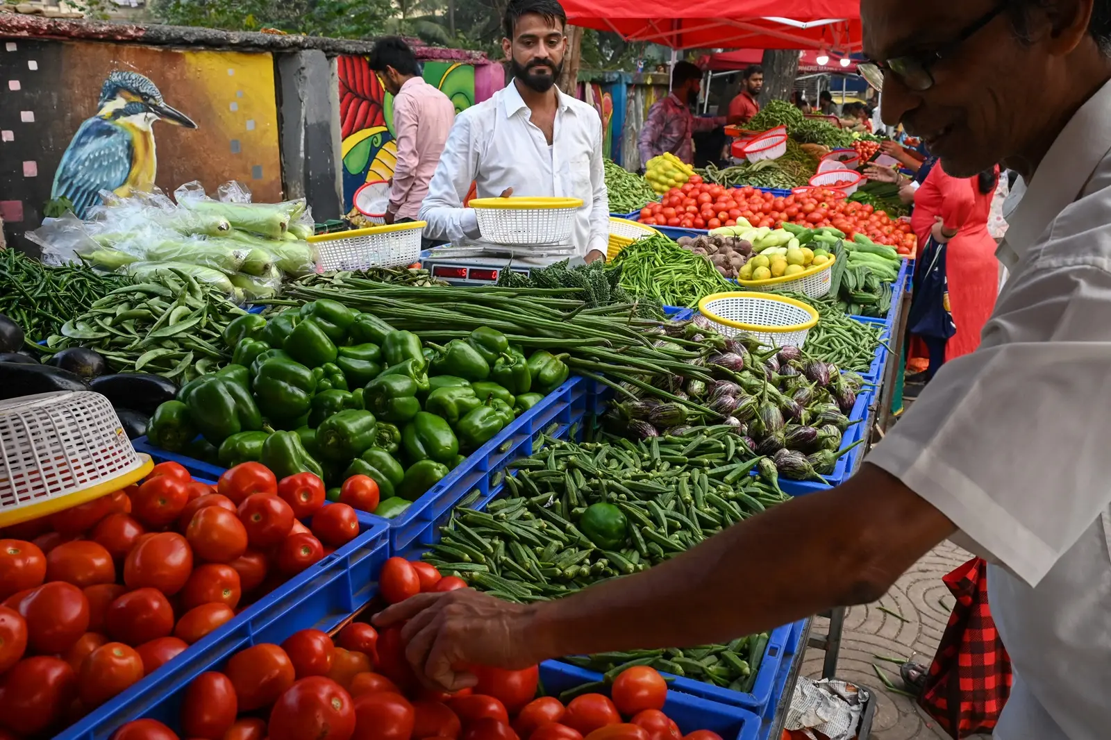 India outperforms US, China and Russia in post-Covid era, Harvard economist reveals