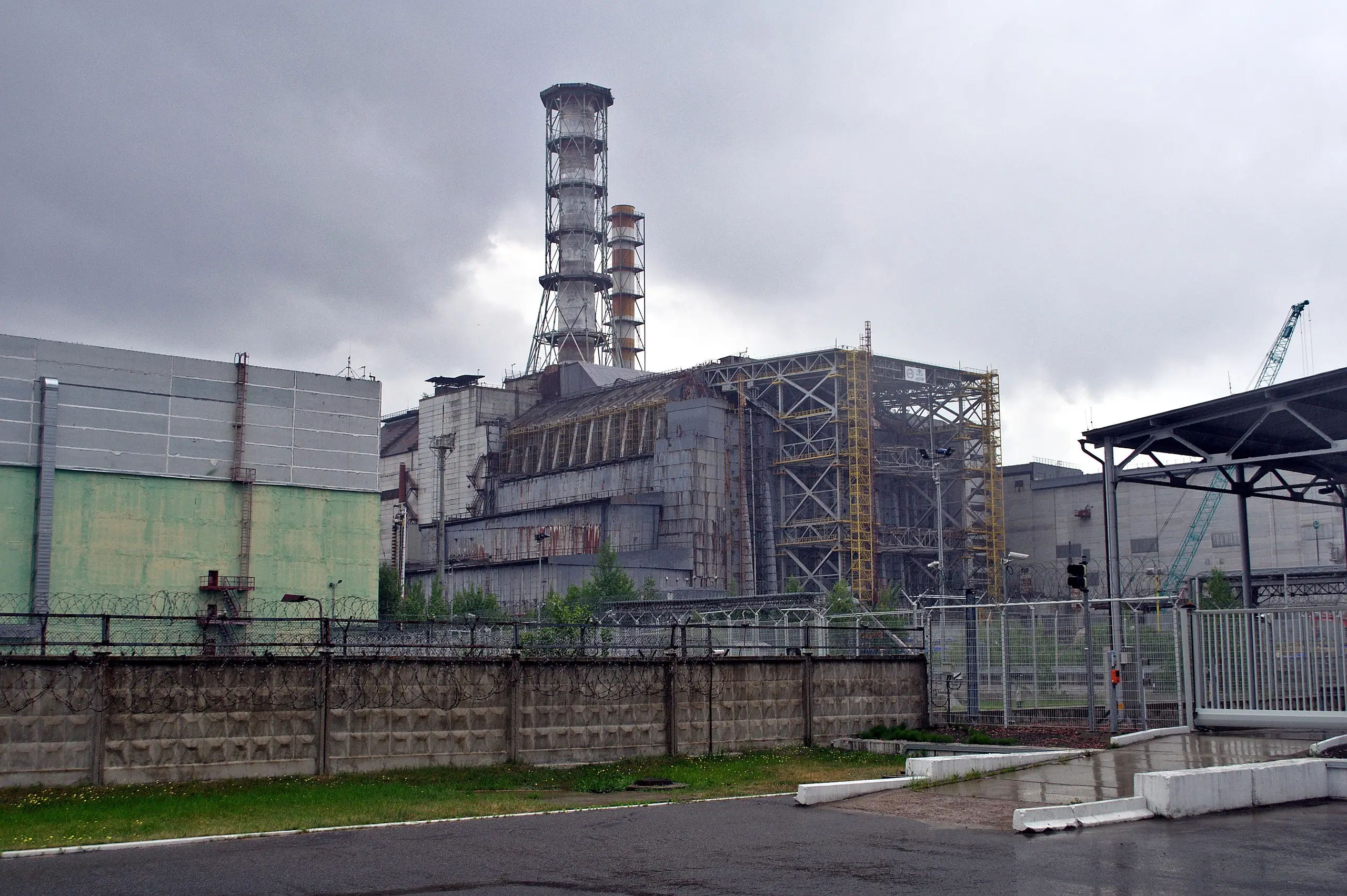 'Where humans die, fungus thrives': Something very strange is happening in Chernobyl