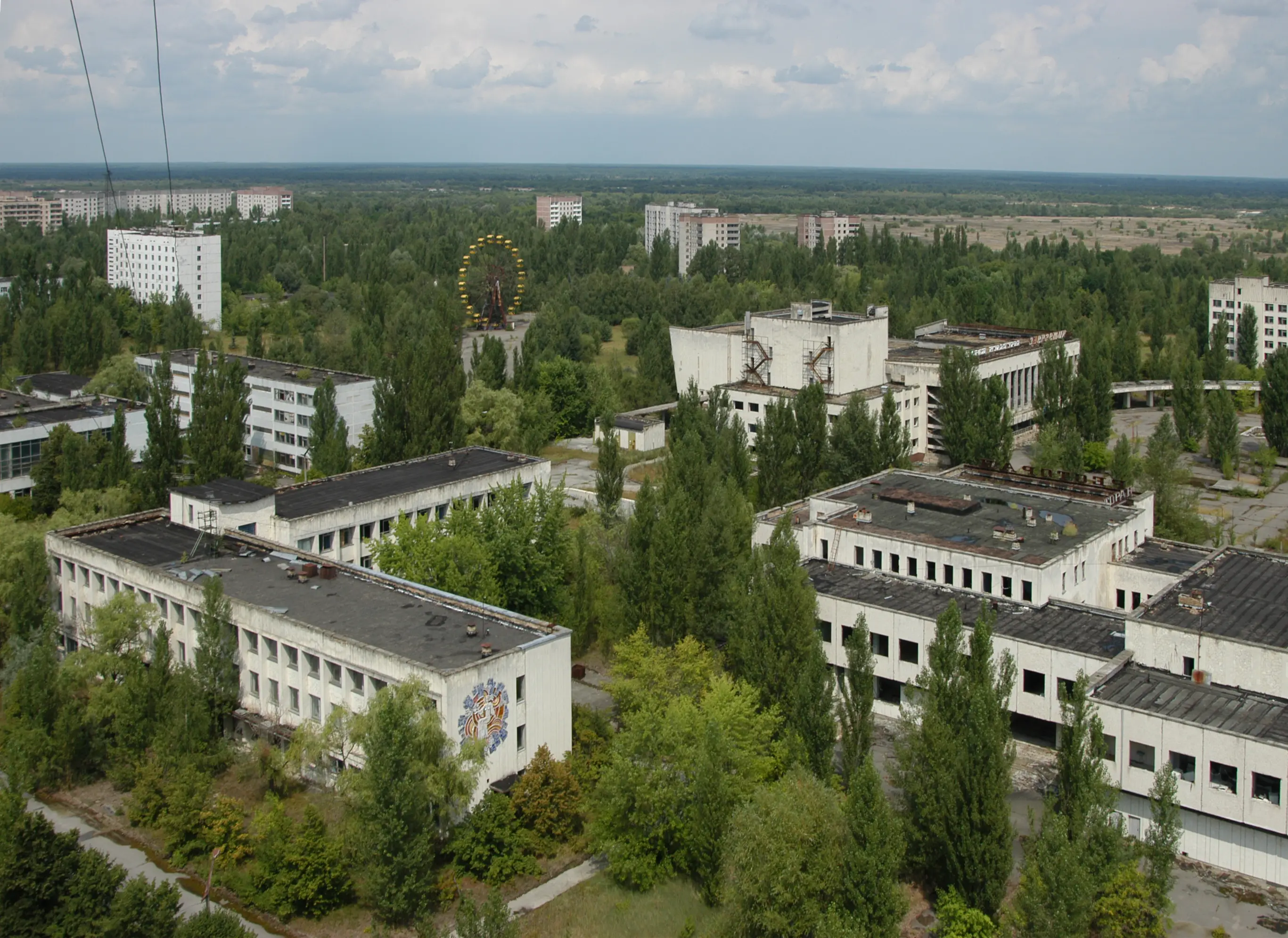 6. Potential Applications — Radiation Shielding, Bioremediation & Space Exploration