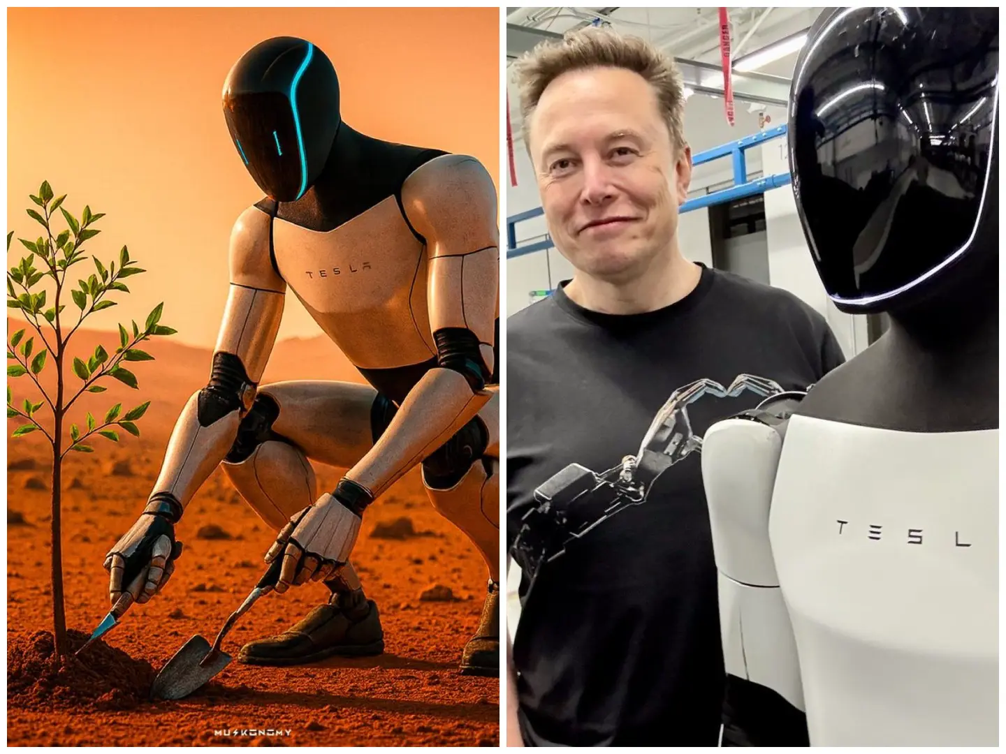 All those who work are fools? Elon Musk's 'Protopian' idea of post-work society and what it means for wage earners All those who work are fools? Elon Musk's 'Protopian' idea of post-work society and what it means for wage earners