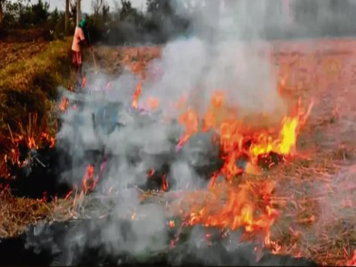 Farm fires going uncounted? ISRO study points to shift in stubble-burning time Farm fires going uncounted? ISRO study points to shift in stubble-burning time