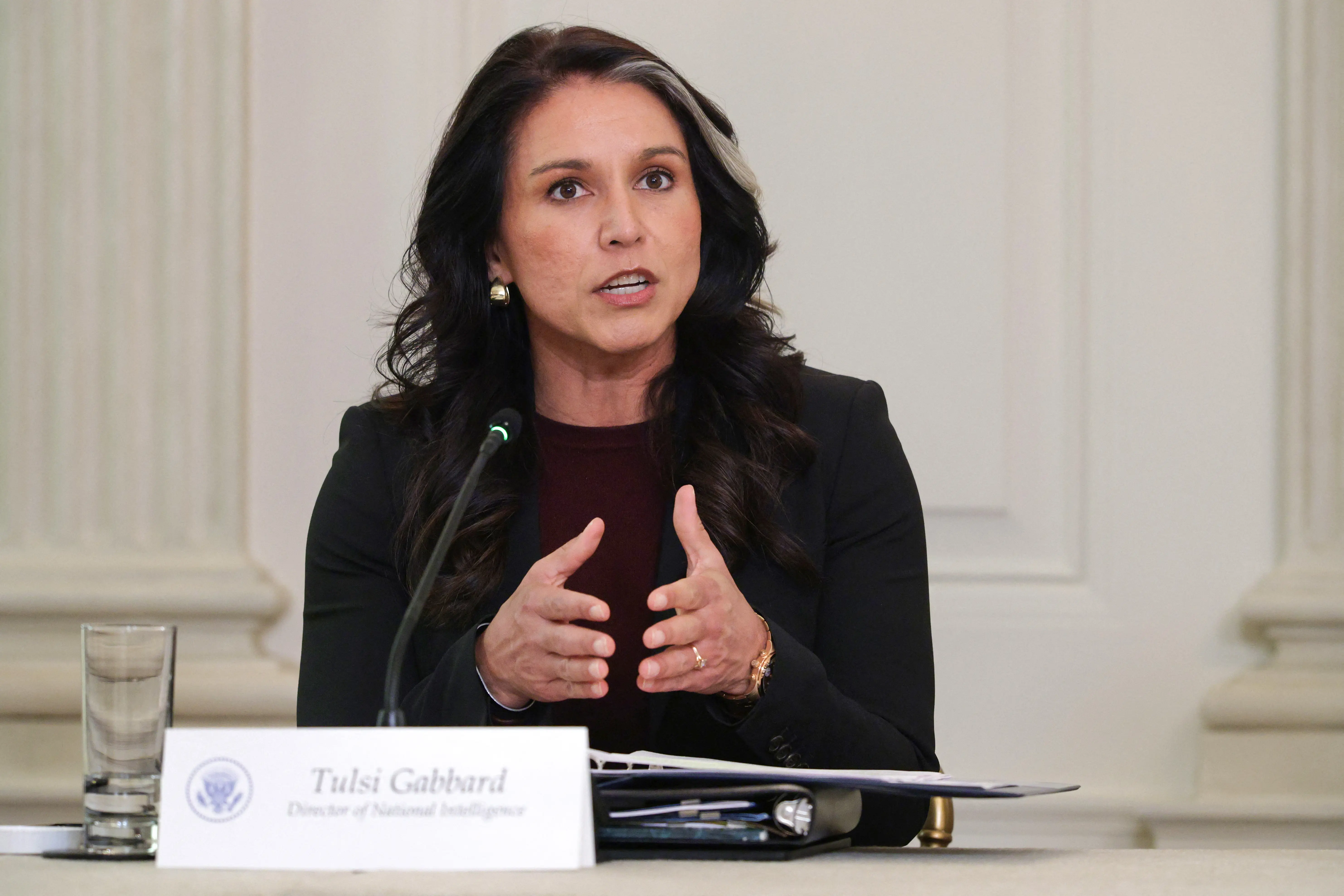 At least 2,000 Afghans living in US have terror connections: DNI Tulsi Gabbard