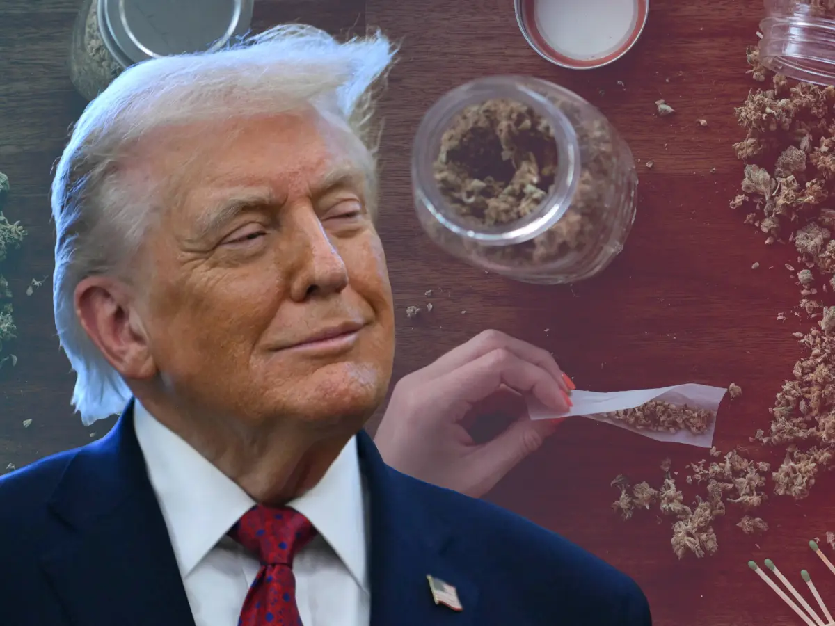 Marijuana 'research' material but fentanyl a 'weapon of mass destruction'? Trump's explosive announcement on devil's lettuce Marijuana 'research' material but fentanyl a 'weapon of mass destruction'? Trump's explosive announcement on devil's lettuce