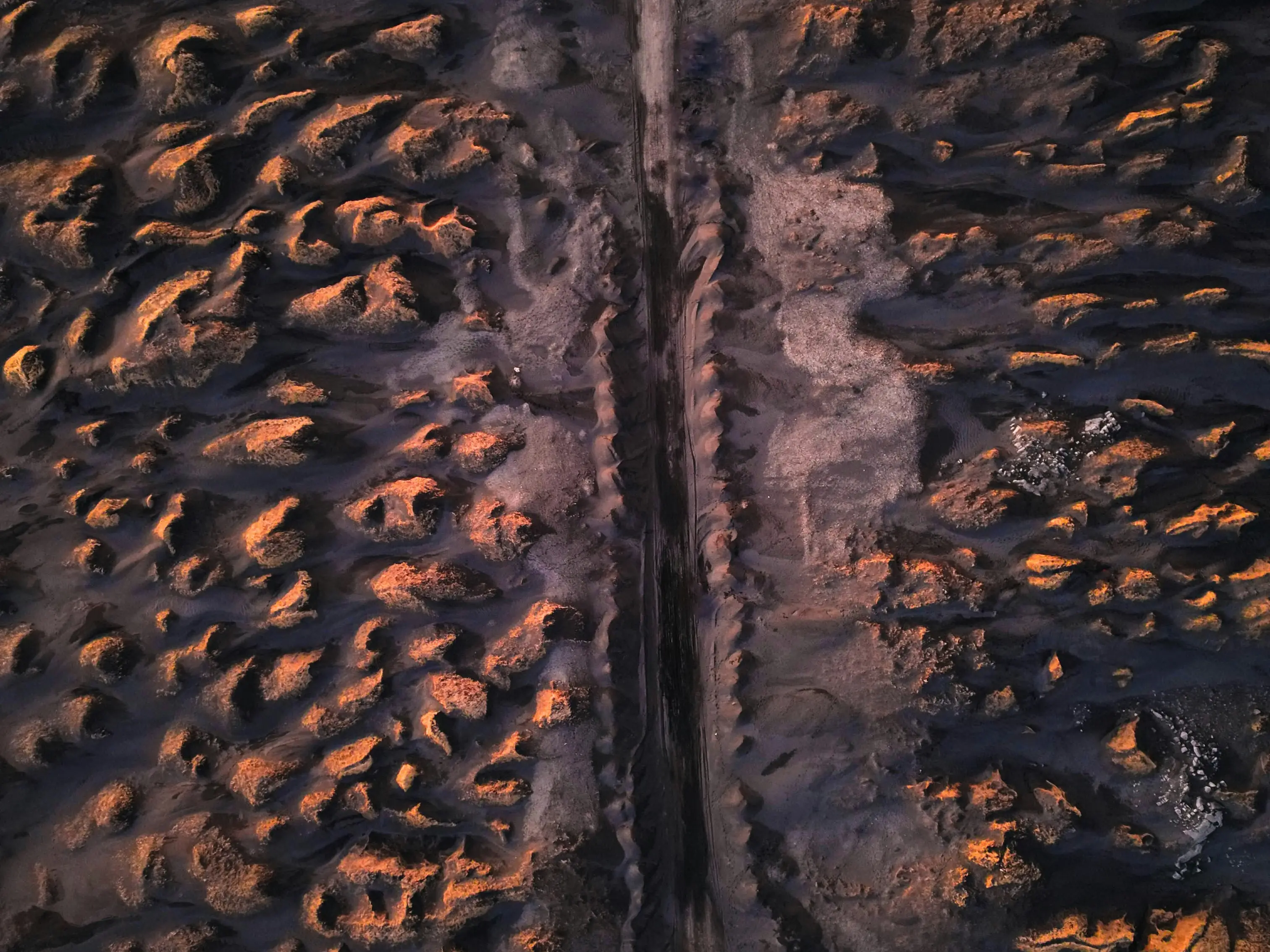 T. rex tooth leads scientists to make a shocking discovery about brute that ate dinosaurs T. rex tooth leads scientists to make a shocking discovery about brute that ate dinosaurs