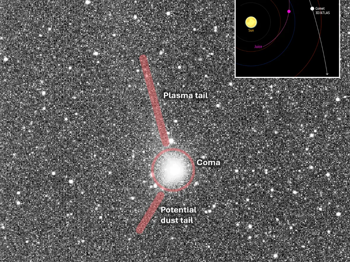 Not all comets have an anti-tail