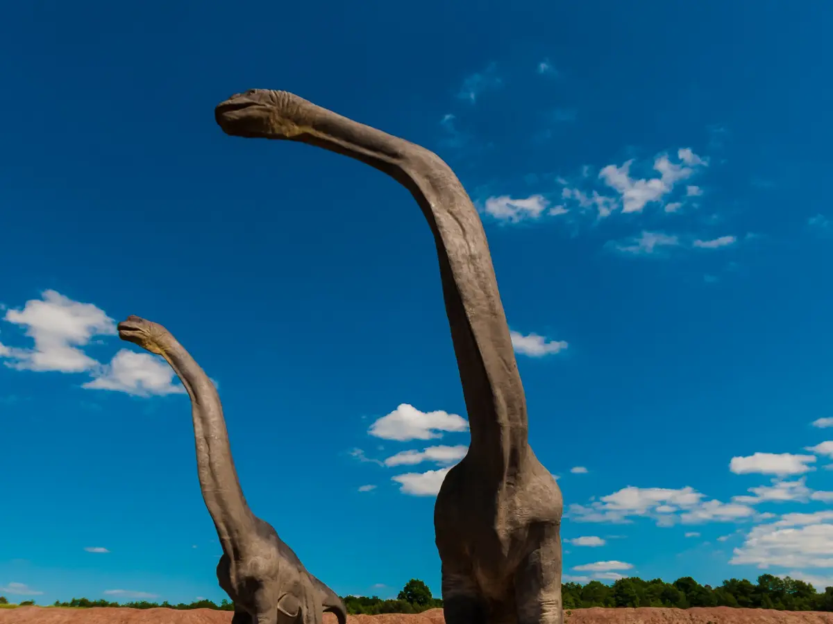 210-million-years old dinosaur footprints numbering thousands uncovered in Italian national park