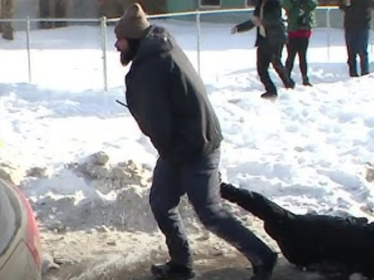 'She's pregnant': Trump's immigration agent drags woman through Minneapolis street, kneels on her; video goes viral 'She's pregnant': Trump's immigration agent drags woman through Minneapolis street, kneels on her; video goes viral
