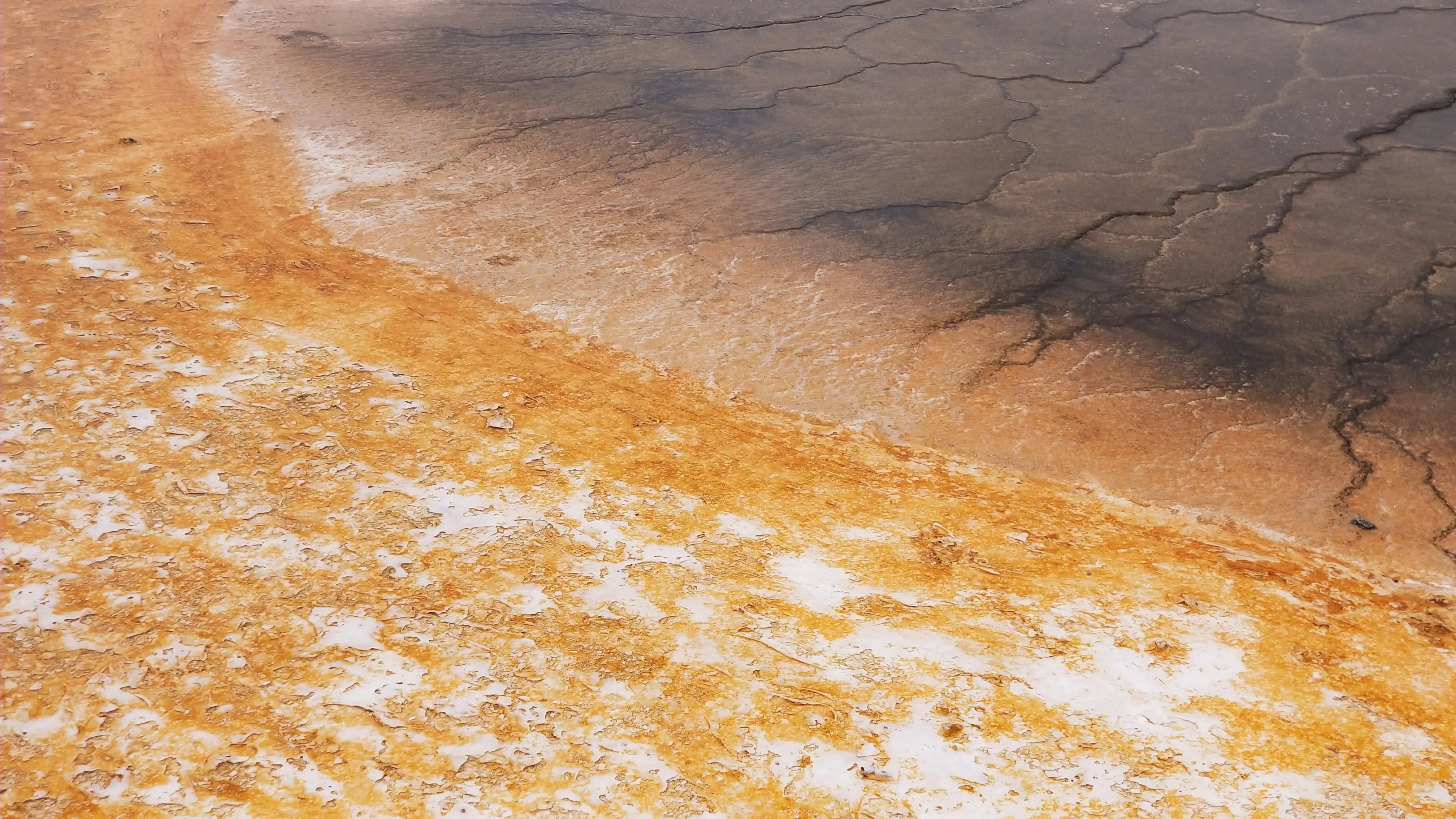 Scientists reveal the hiding place of all the water on Earth 4.6 billion years ago