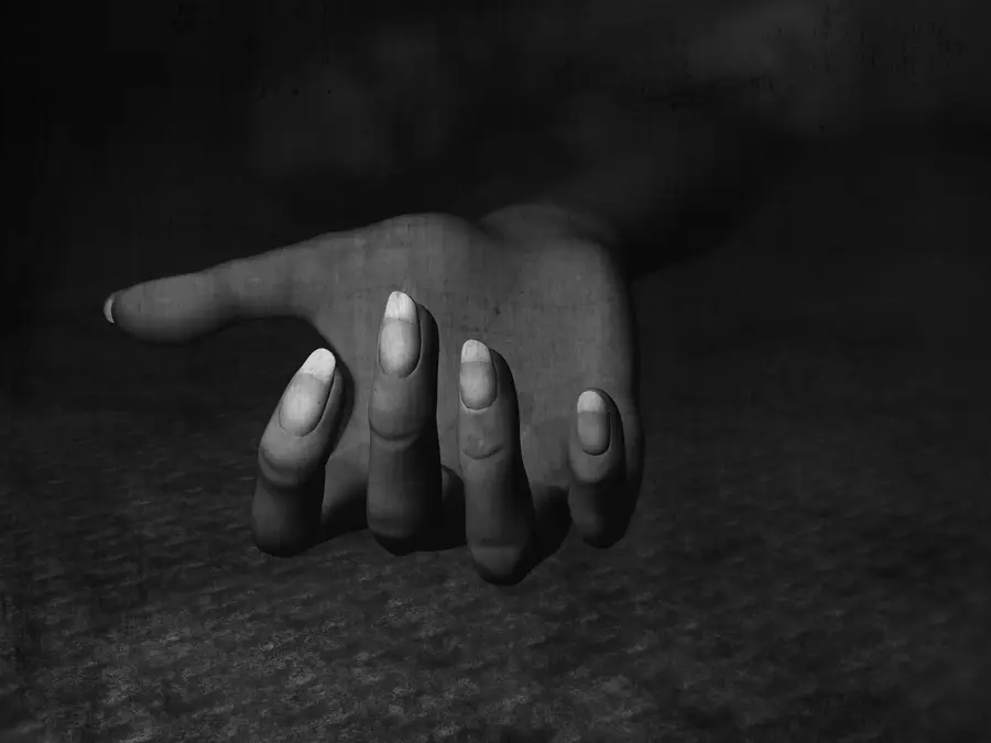Ghaziabad landlady goes to tenant couple for rent, found dead in suitcase