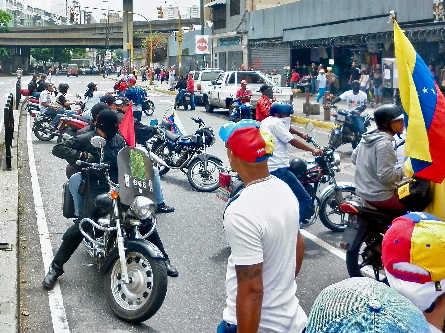Role of the Colectivos