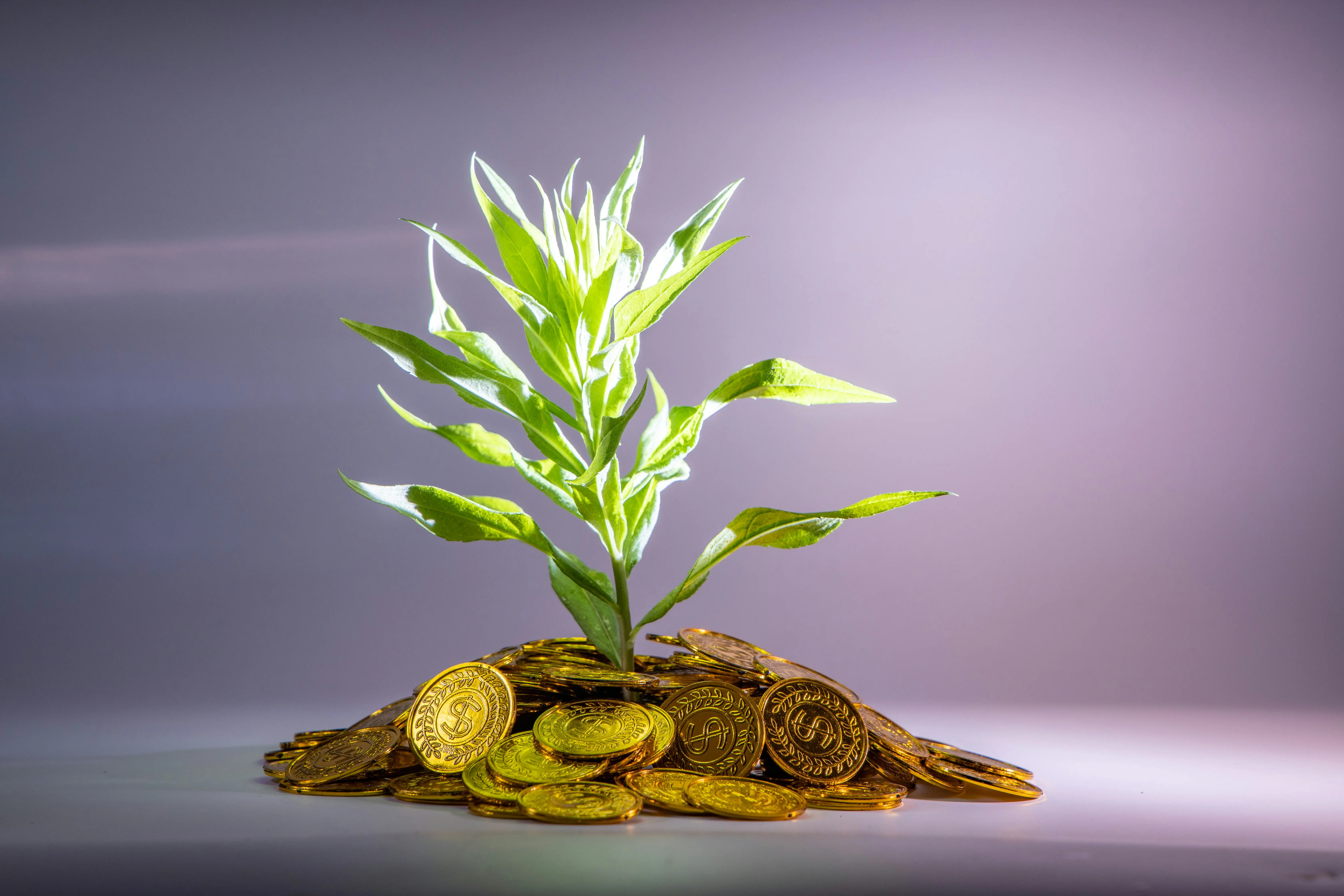 Business year-ender 2025: Top 7 market trends that shaped India’s economy this year