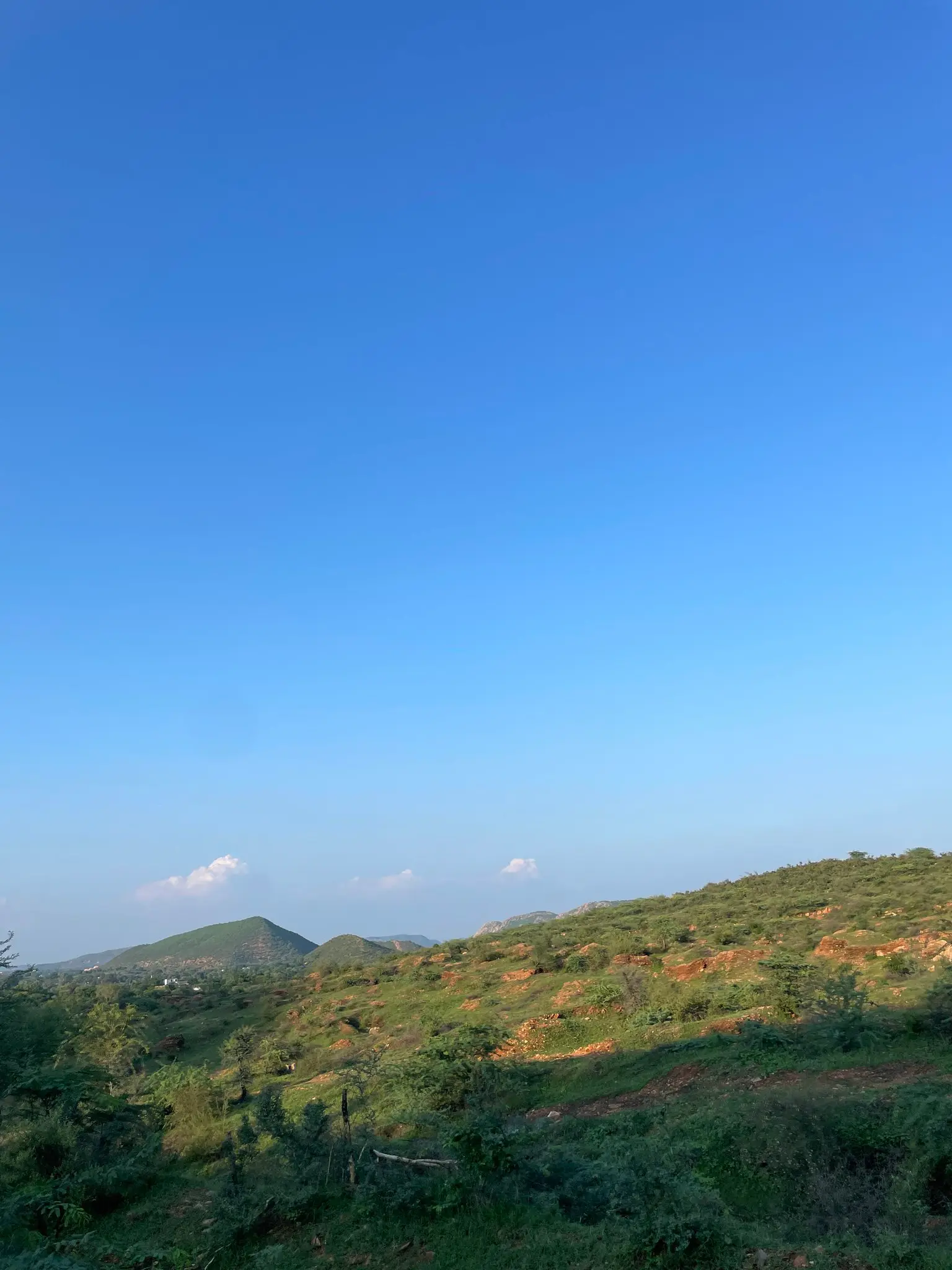 WION Explains | What’s the controversy on Aravalli Hills and why it matters more than you think