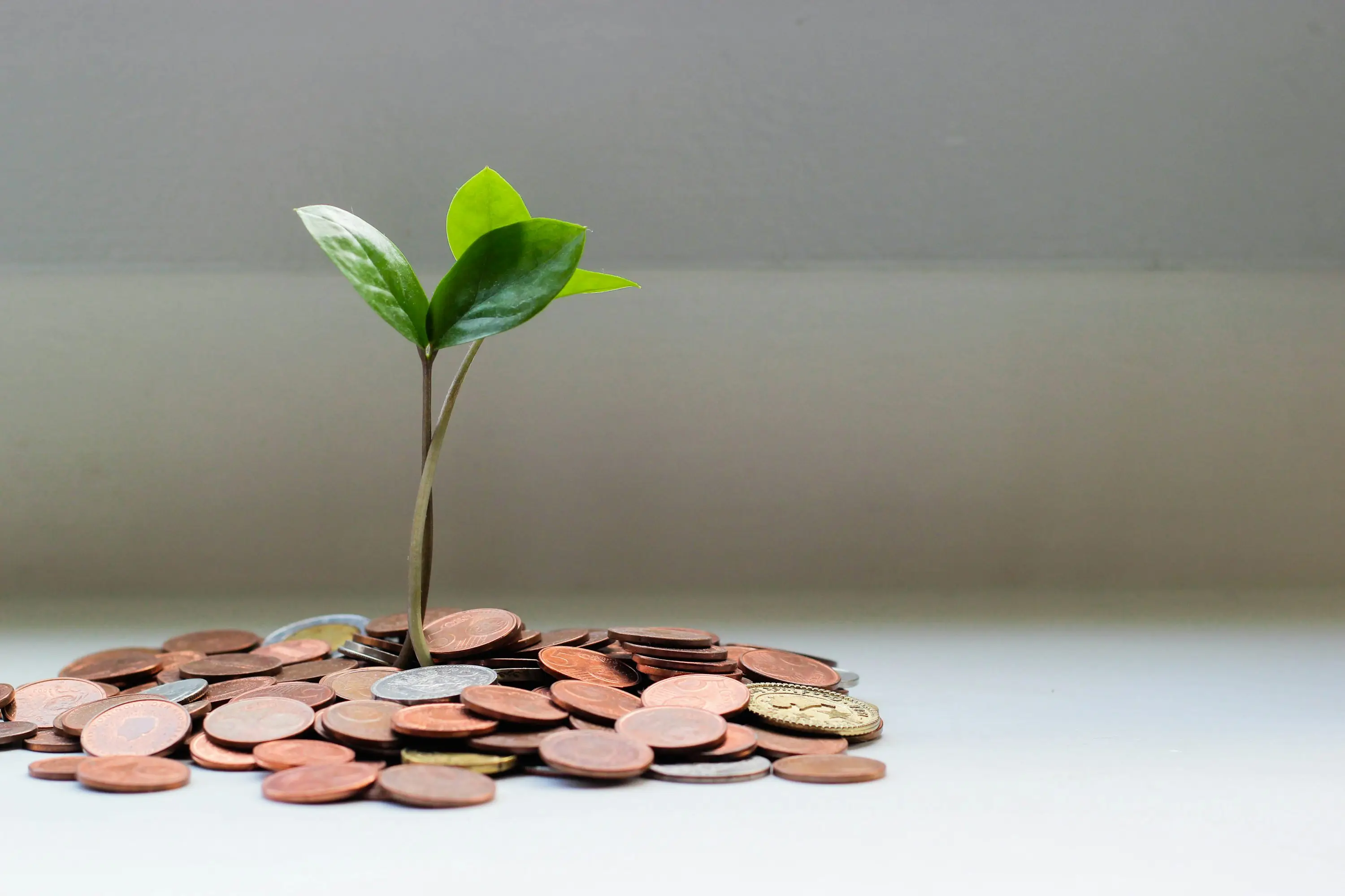 Fixed deposits: certainty with modest returns