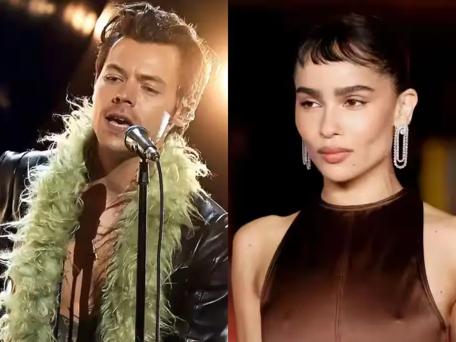 Harry Styles and Zoe Kravitz's viral pic from Rome sparks engagement rumours; Here's what we know