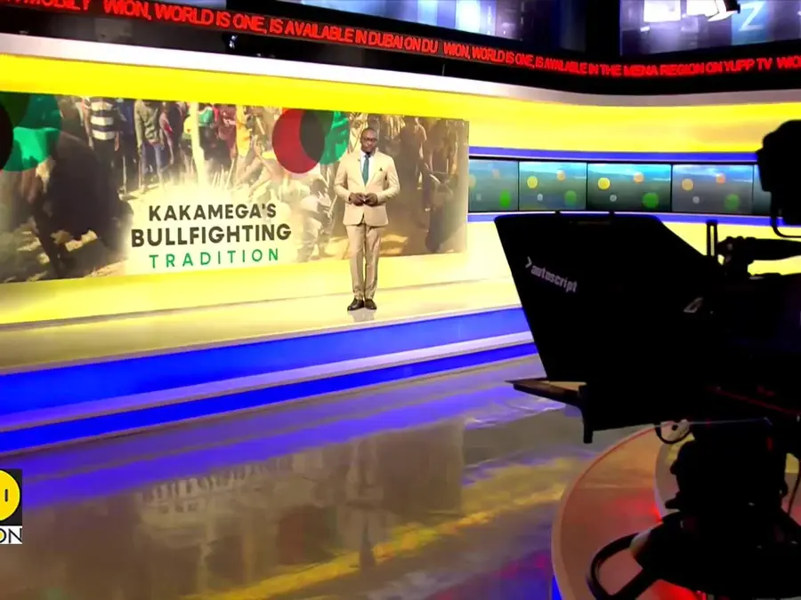 Kenyans unite around the country's growing bullfighting tradition