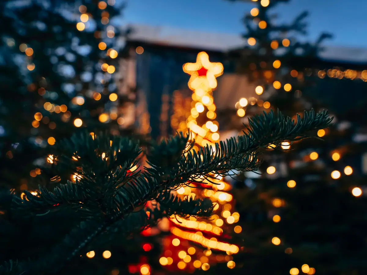 Merry Christmas 2025: Where to go on 25th December? Visit these 6 destinations, this festive season