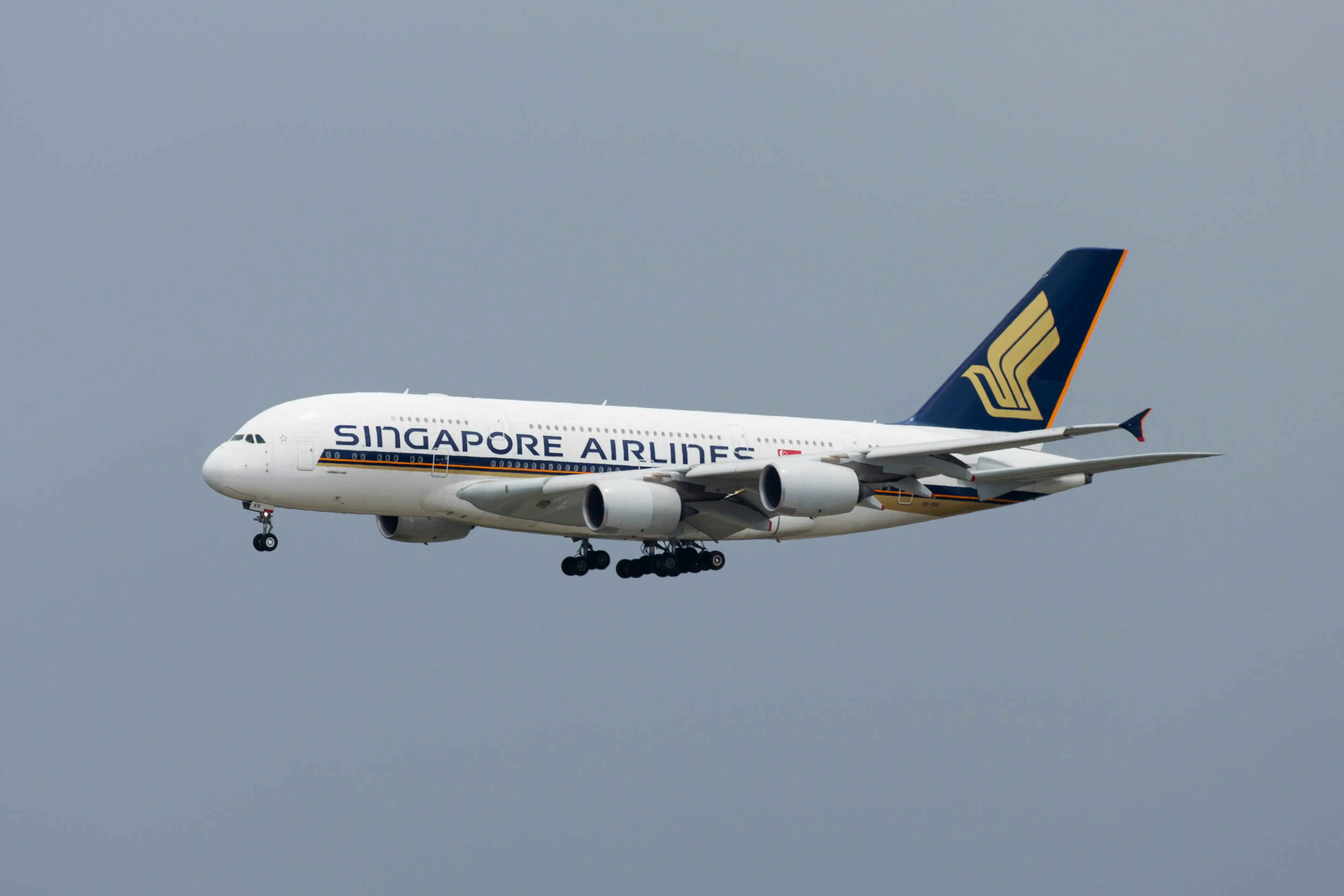 Business class passenger on Singapore Airlines flight tried to steal a man's bag. His wife caught him