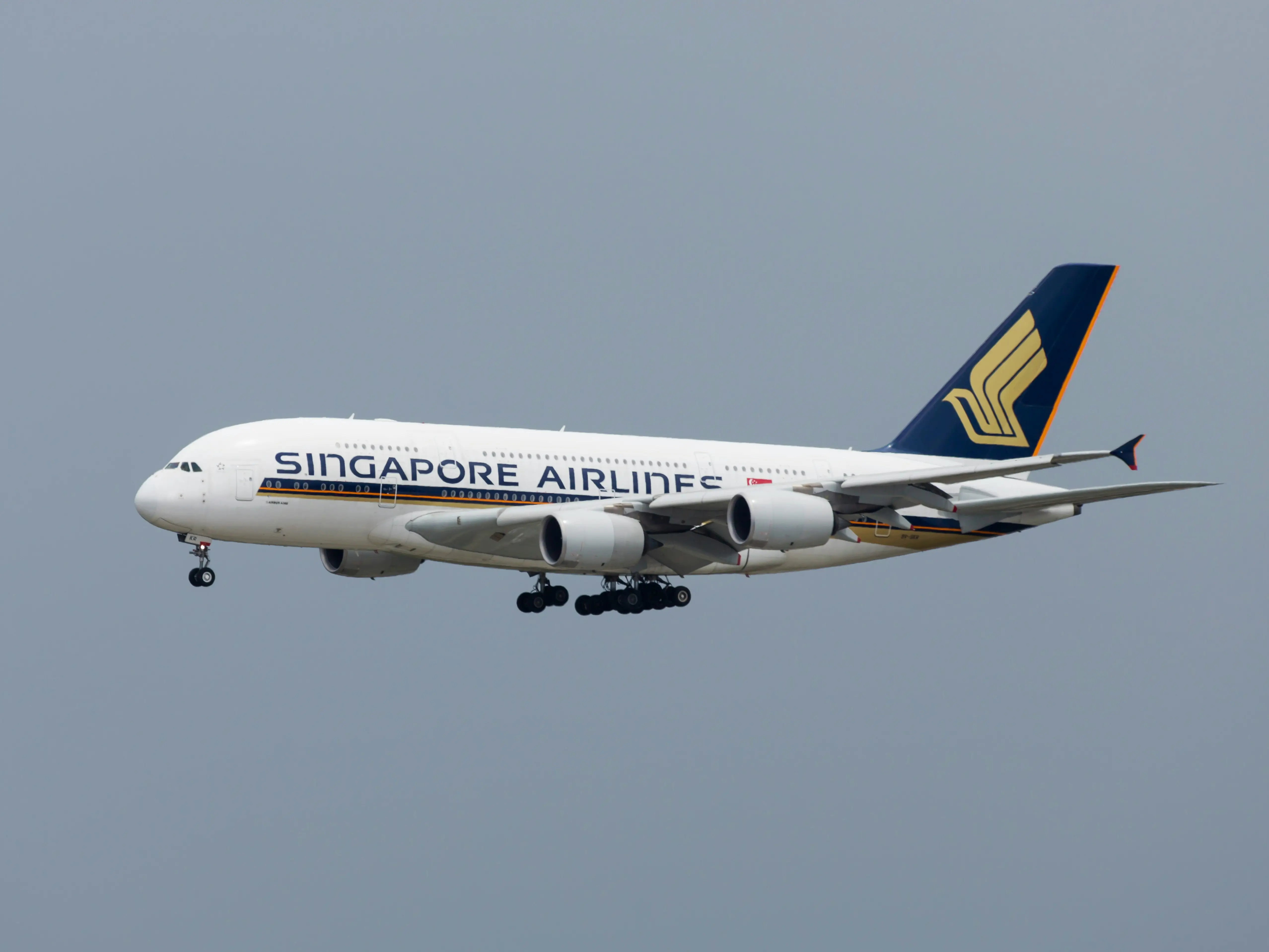 Business class passenger on Singapore Airlines flight tried to steal a man's bag. His wife caught him Business class passenger on Singapore Airlines flight tried to steal a man's bag. His wife caught him