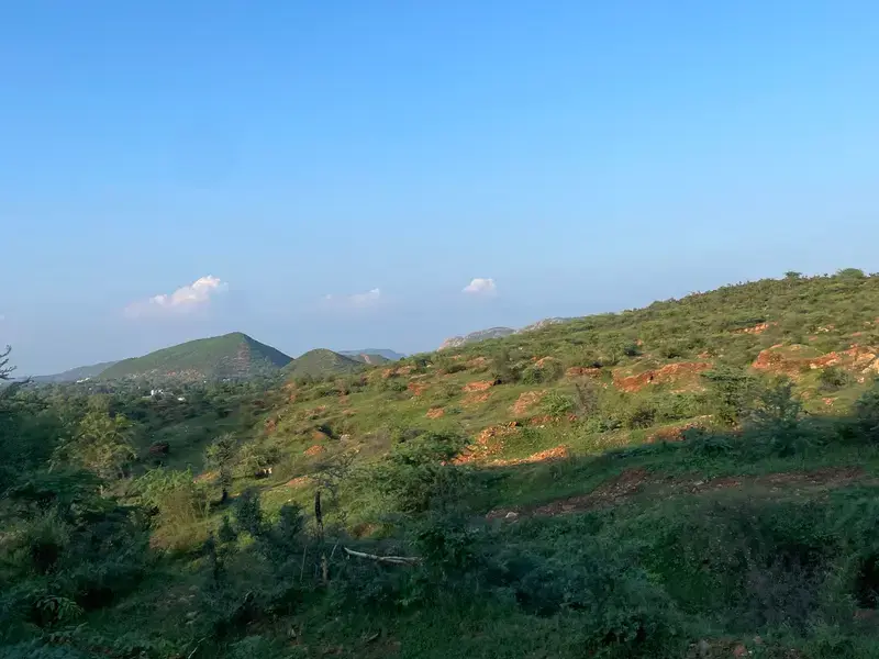 'No mining leases': Centre will protect entire Aravalli in major step towards conservation 'No mining leases': Centre will protect entire Aravalli in major step towards conservation