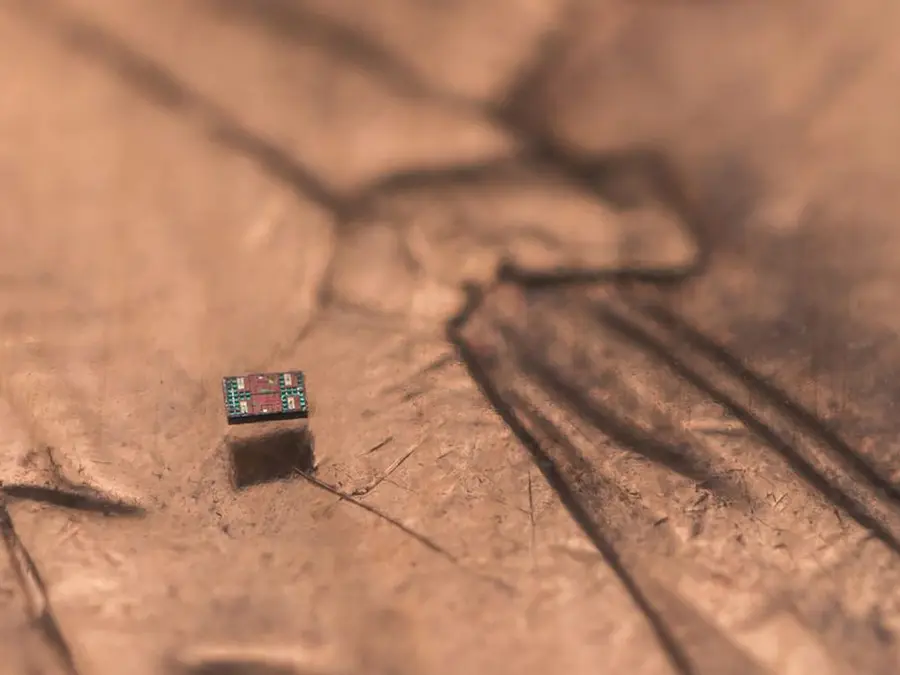 'Smaller than a grain of salt': Researcher develop world's smallest programmable, autonomous robots