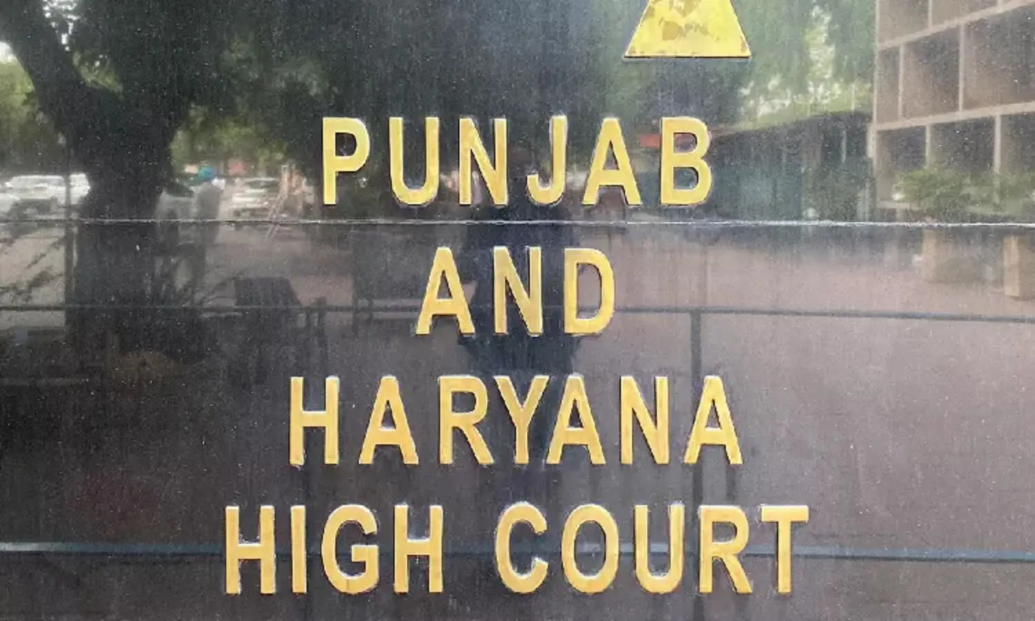 Mothers have blind love for ‘raja betas’ who can be villainous, says HC, gives 30-year jail to man in rape, murder case