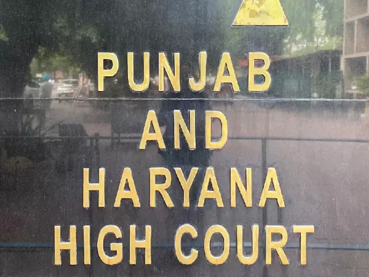 Mothers have blind love for ‘raja betas’ who can be villainous, says HC, gives 30-year jail to man in rape, murder case Mothers have blind love for ‘raja betas’ who can be villainous, says HC, gives 30-year jail to man in rape, murder case