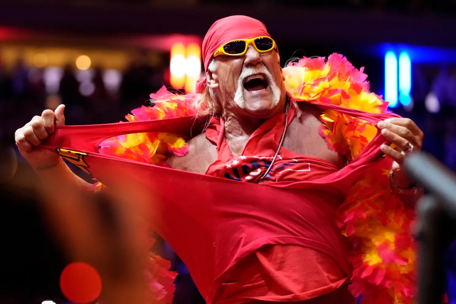 Hulk Hogan (WWE)