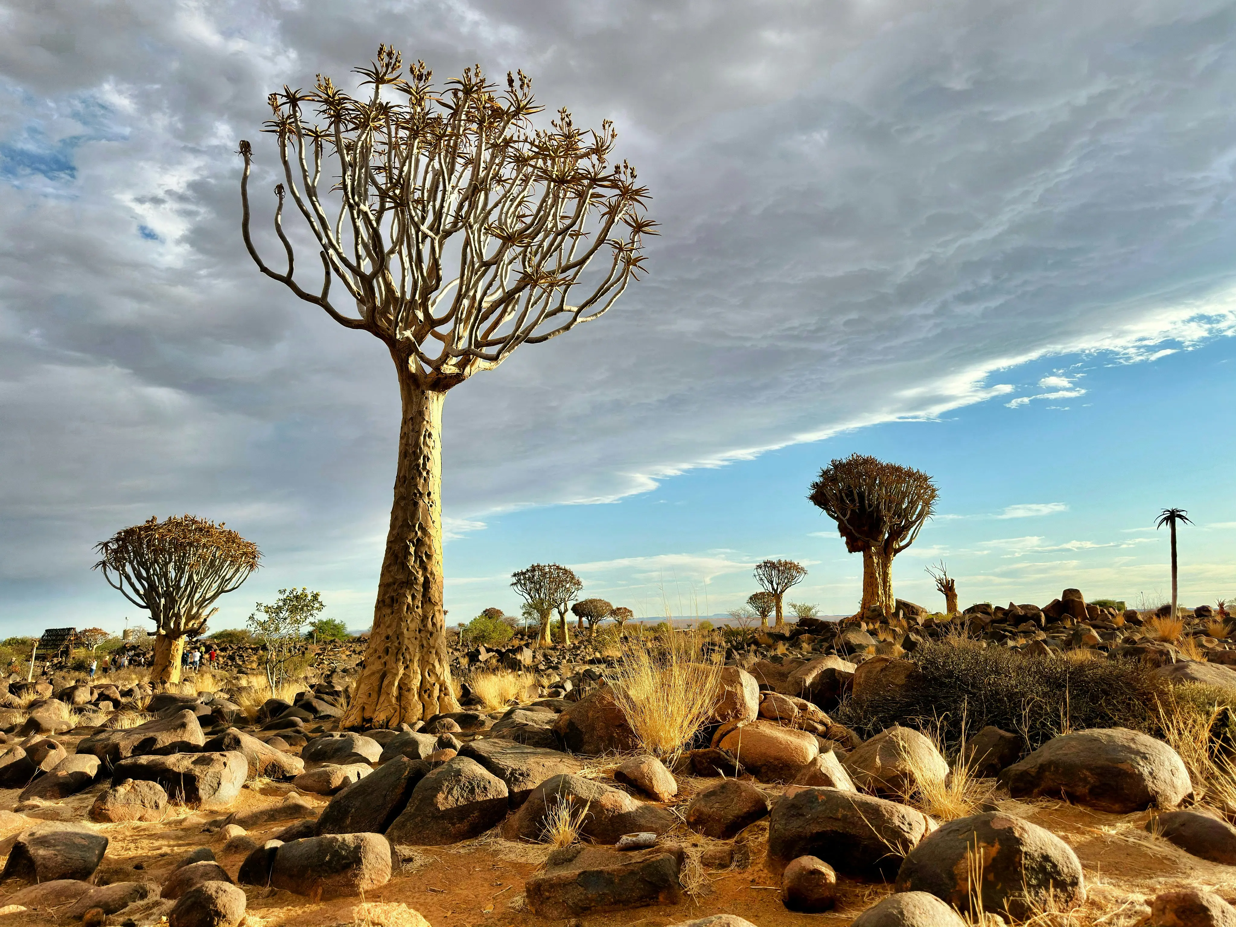 2. Socotra: Yemen's Extreme Isolation Island Community